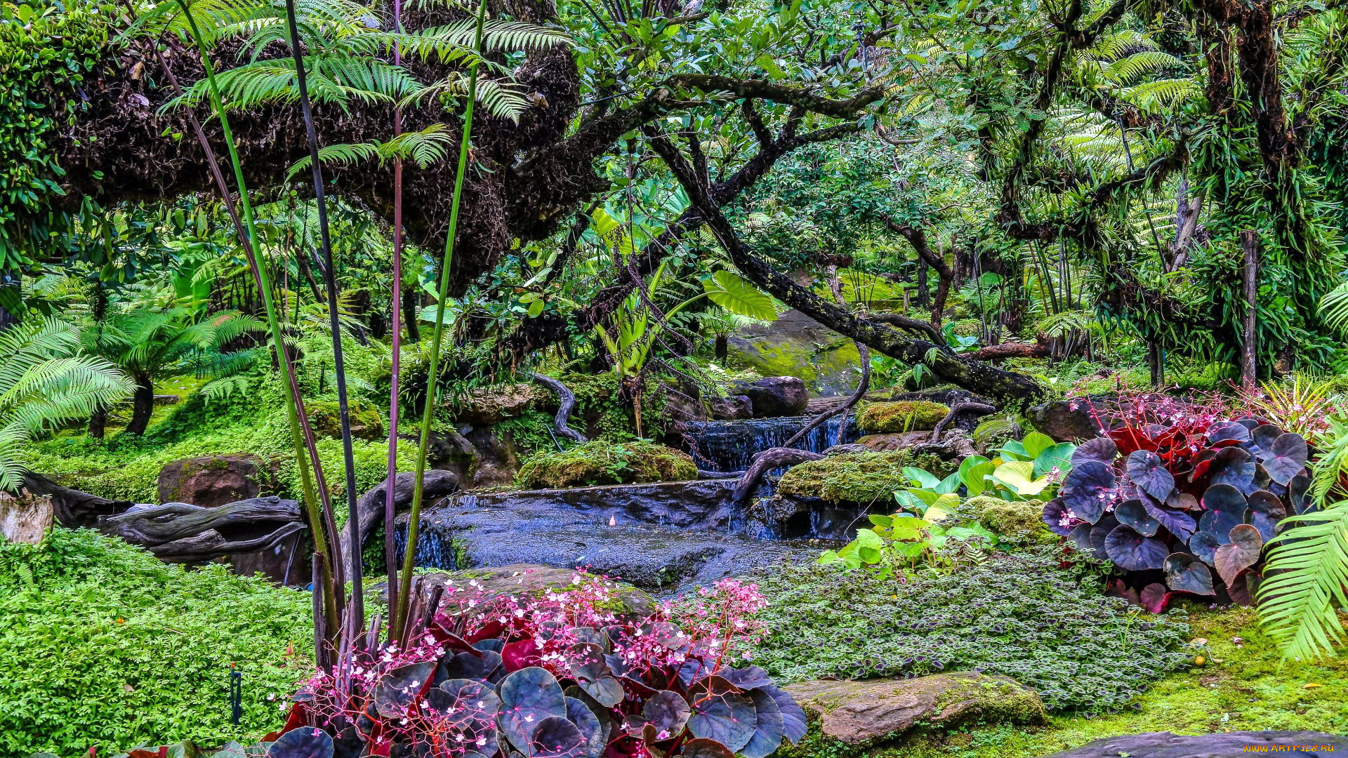 thailand, природа, парк