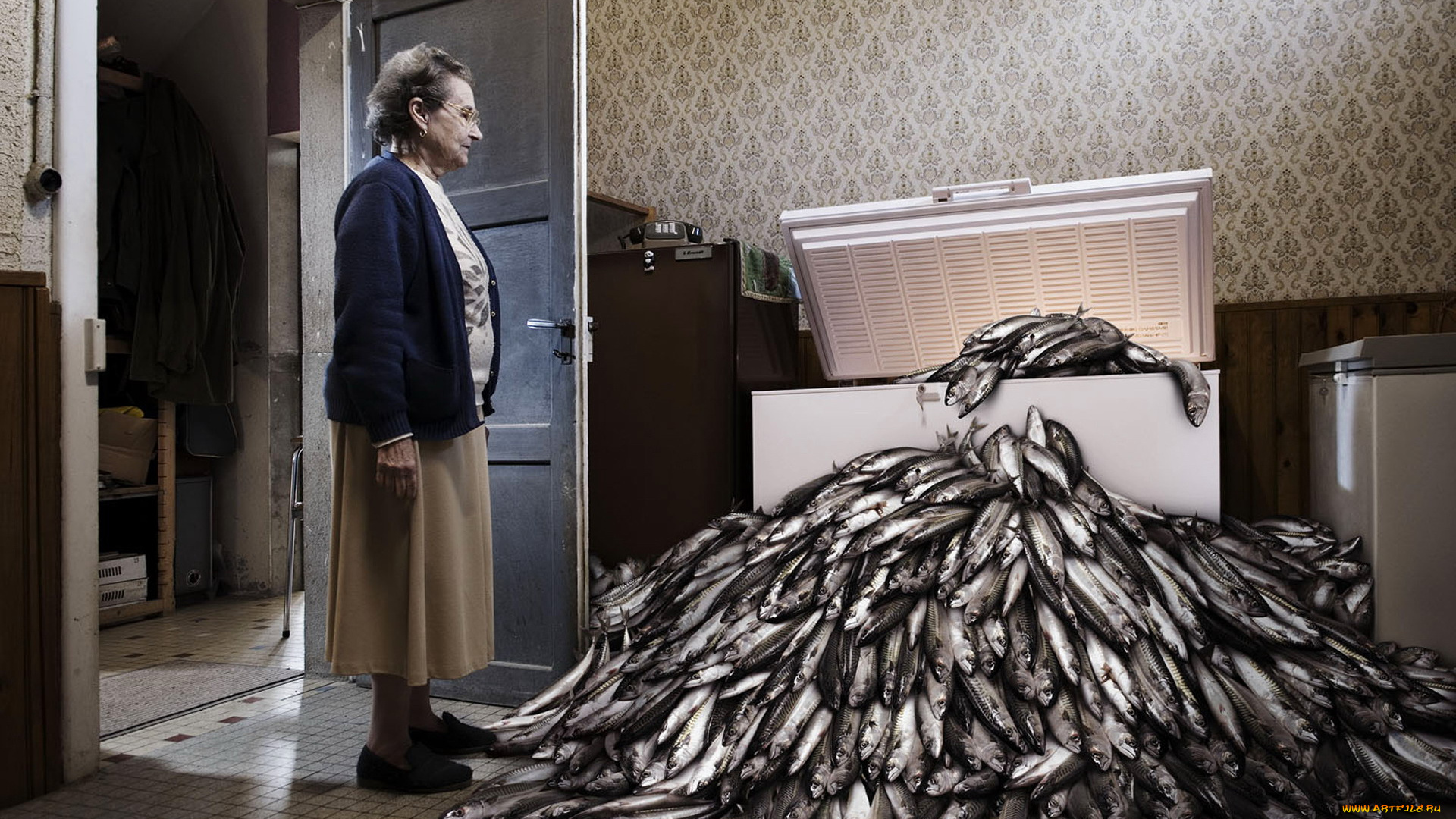 юмор, и, приколы, рыба, холодильник, квартира, старушка