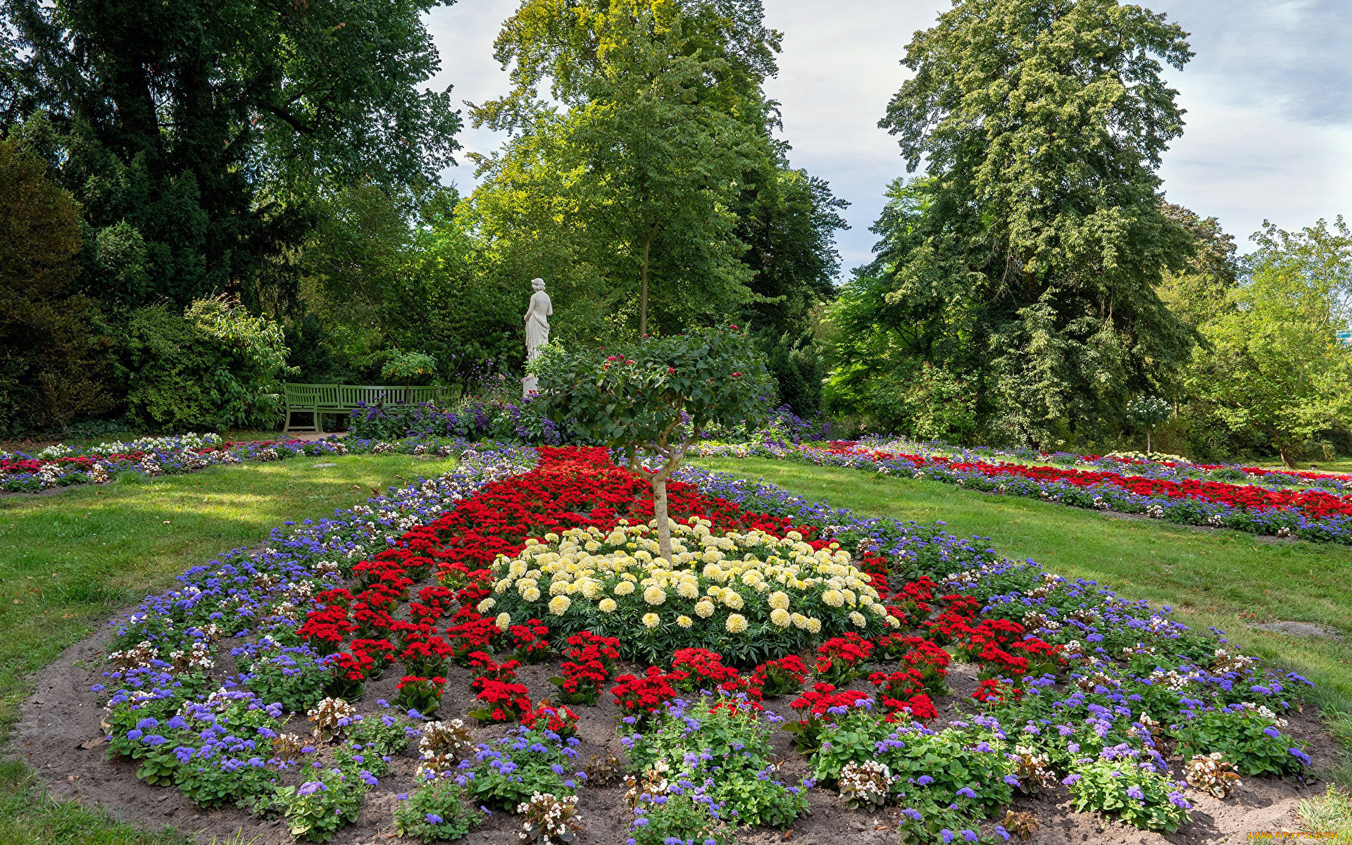 природа, парк, лето, клумба