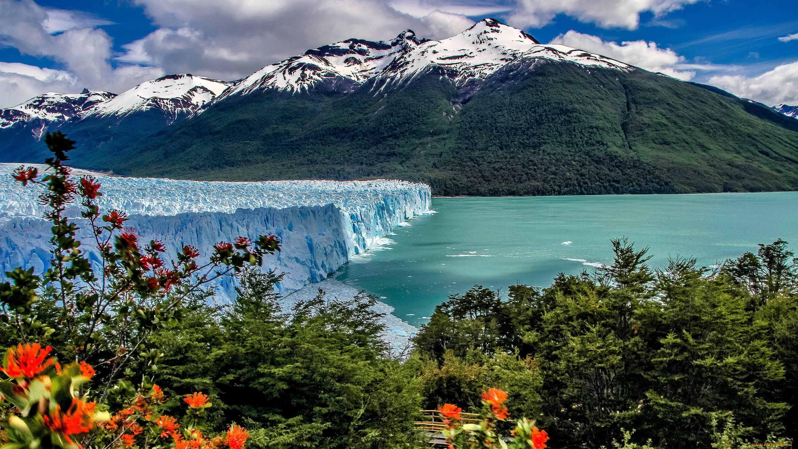 peitro, moreno, glacier, argentina, природа, айсберги, и, ледники, peitro, moreno, glacier