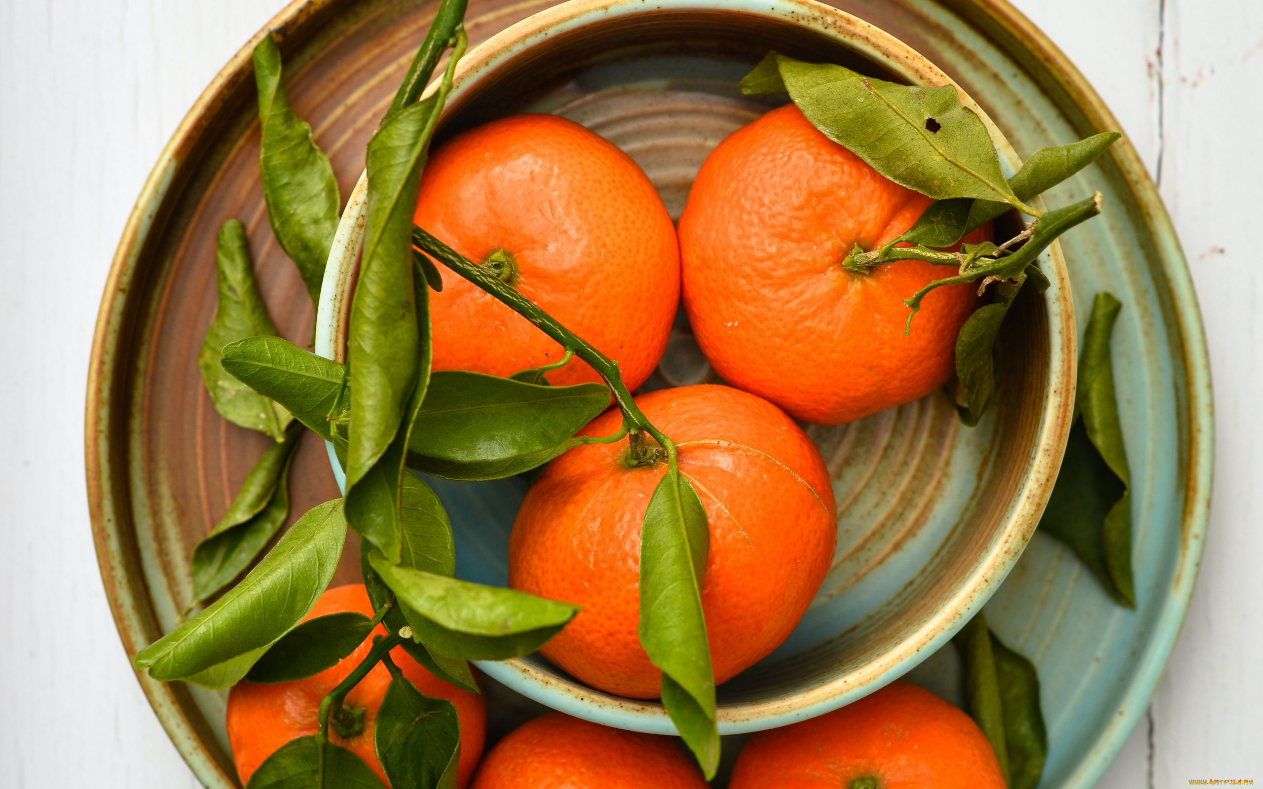 еда, цитрусы, мандарины