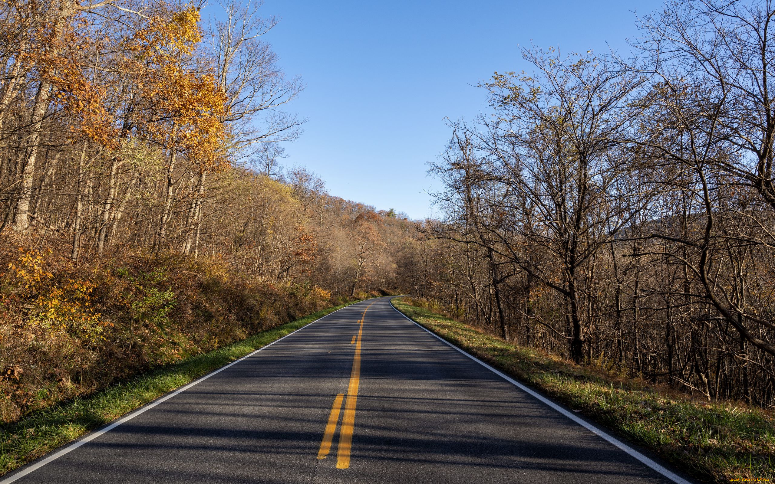 природа, дороги, шоссе