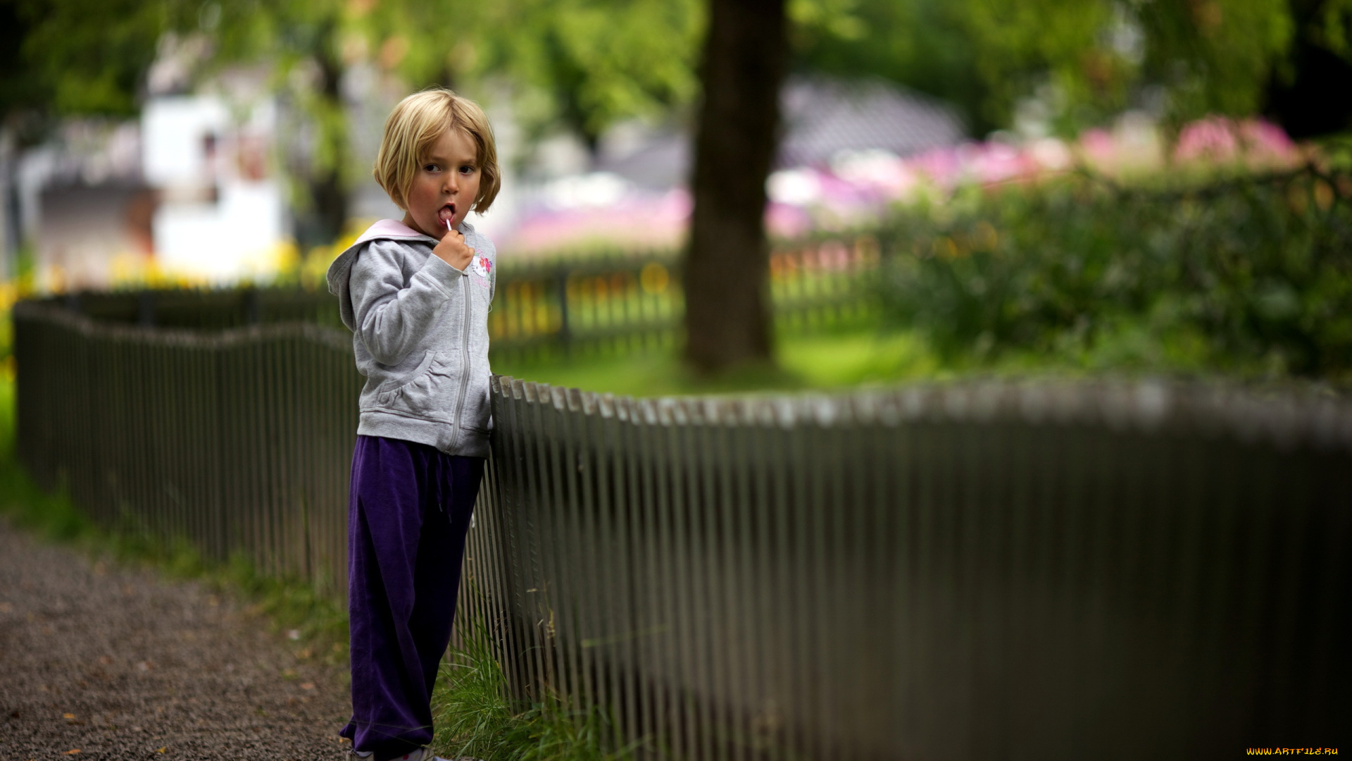 разное, люди, ребенок, леденец, забор