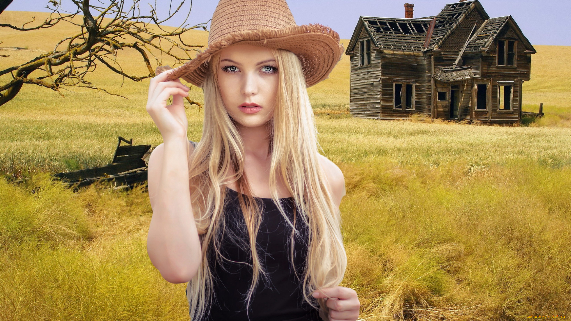 девушки, -, блондинки, , светловолосые, луг, блондинка, шляпа