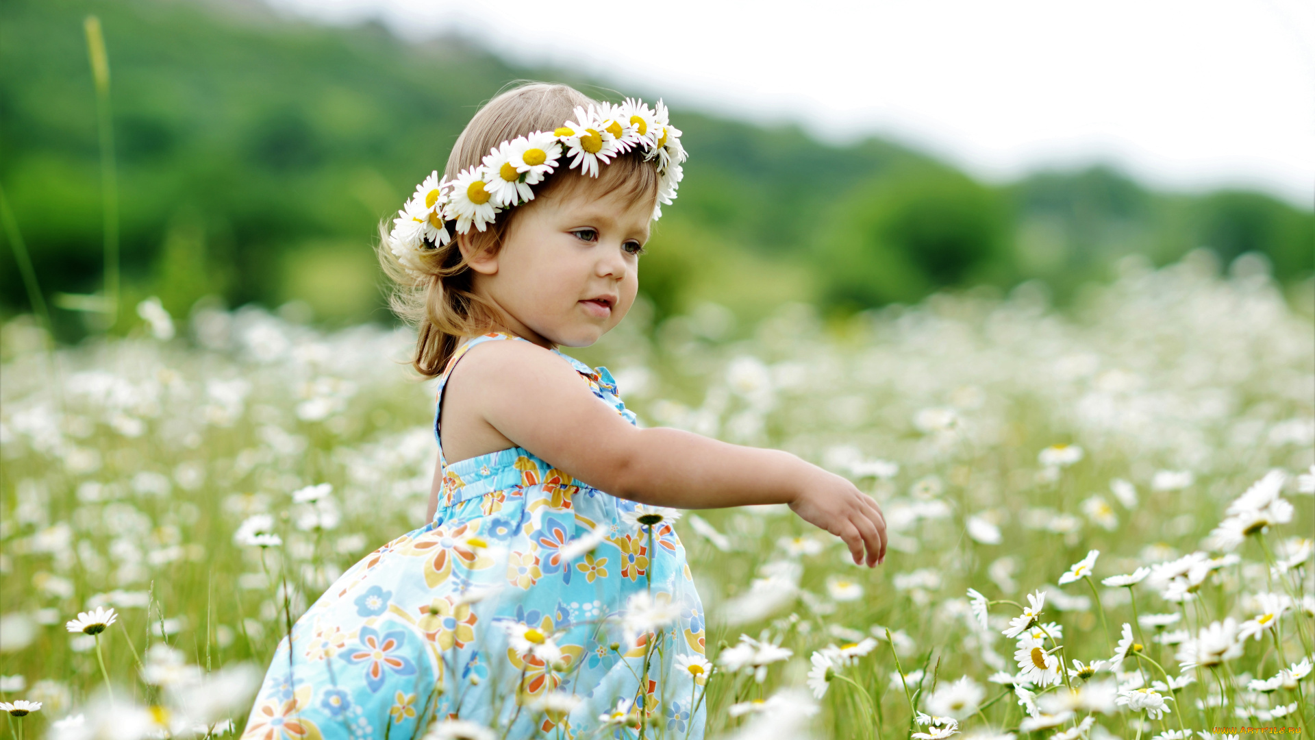 разное, дети, девочка, венок, поле, ромашки