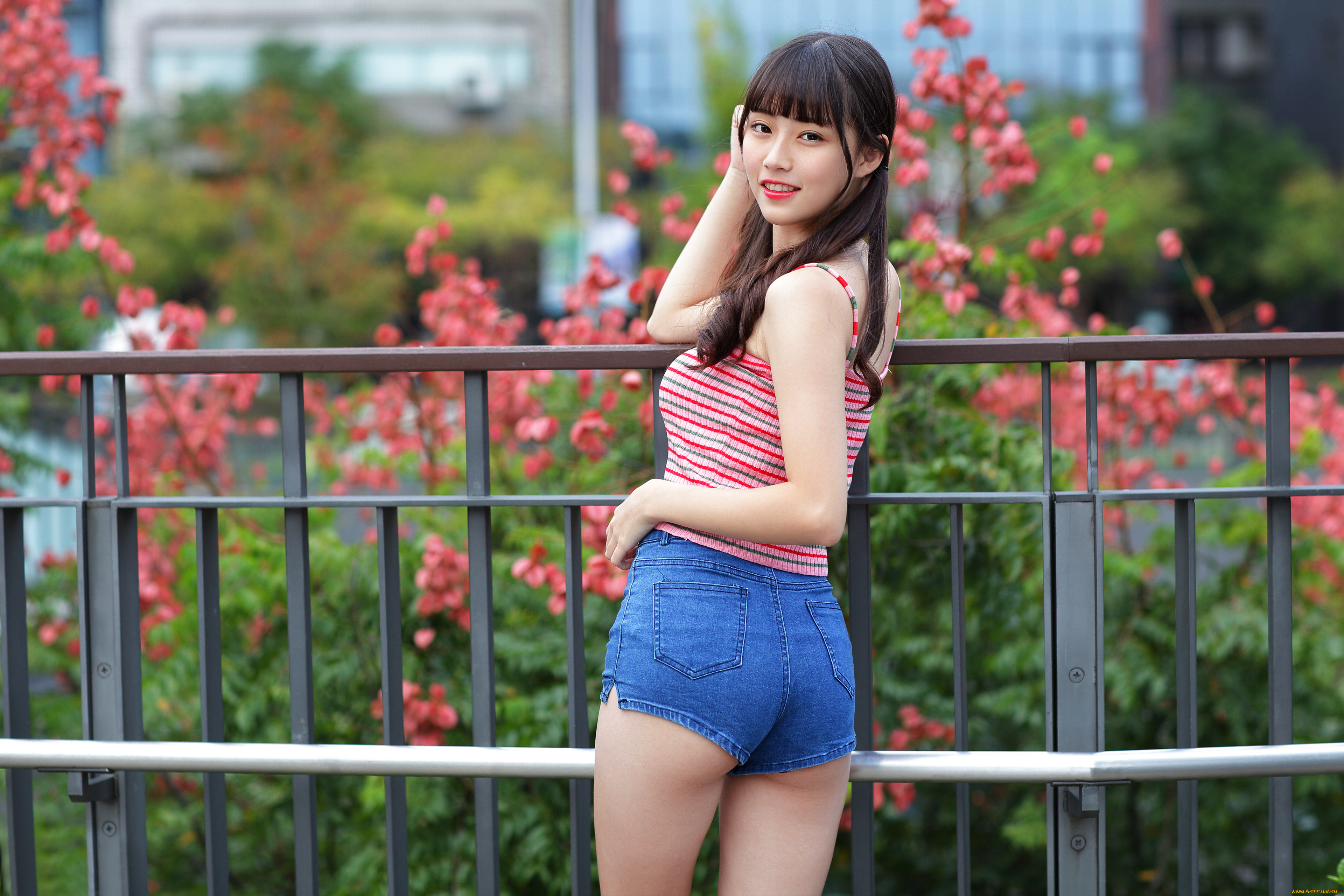 девушки, -, азиатки, топ, шорты, ограда, цветы