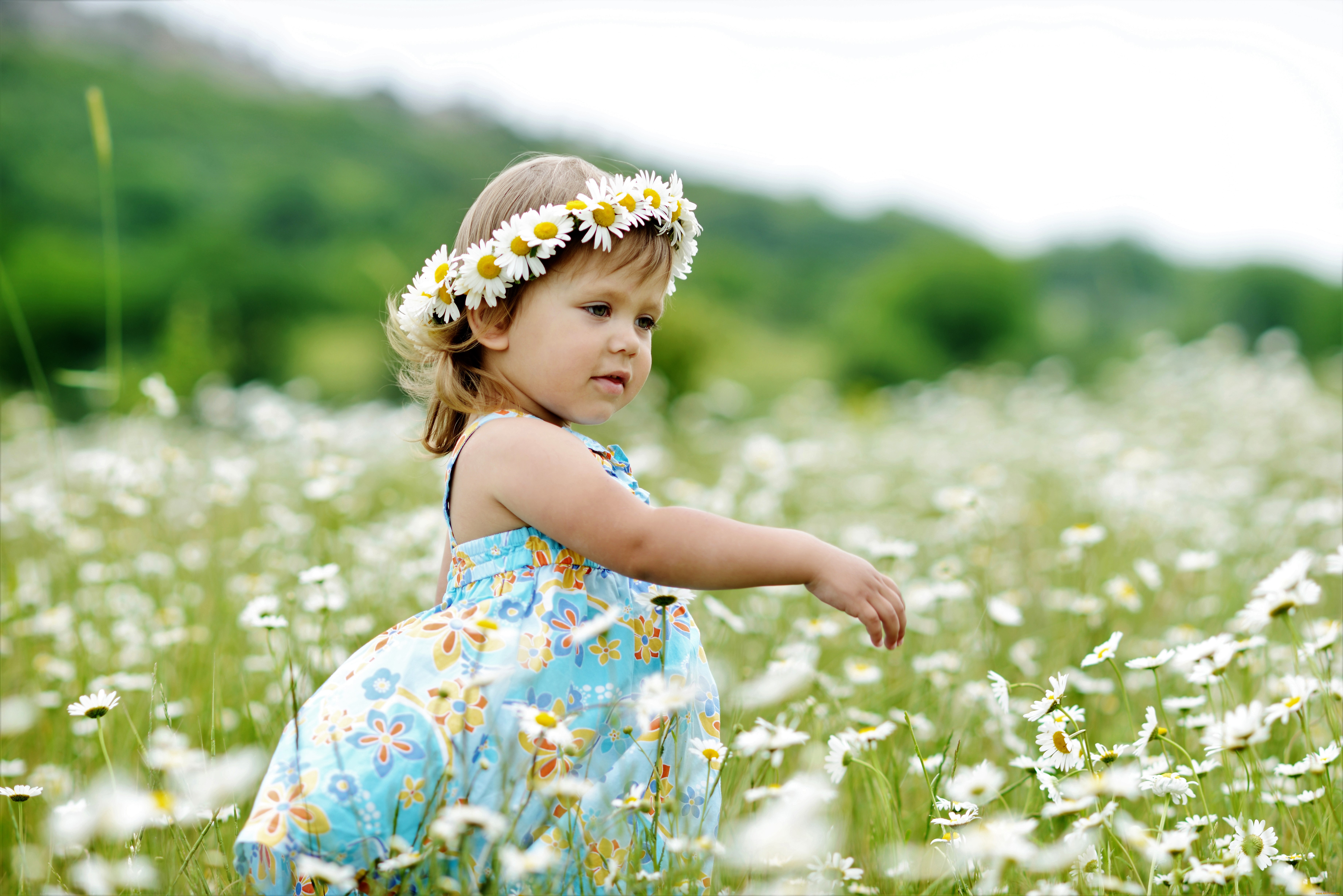 разное, дети, девочка, венок, поле, ромашки