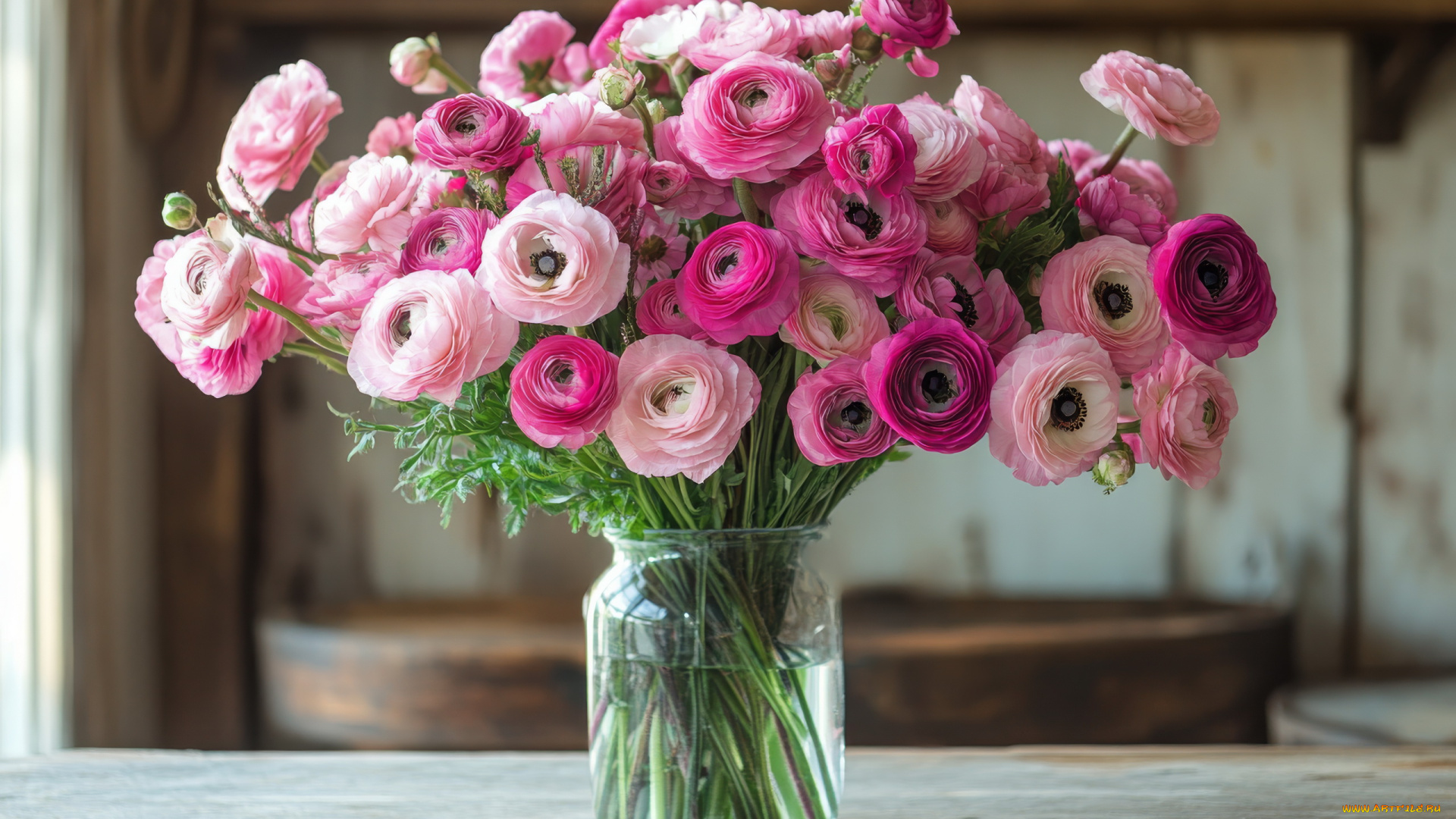 3д, графика, цветы, , flowers, ранункулюс