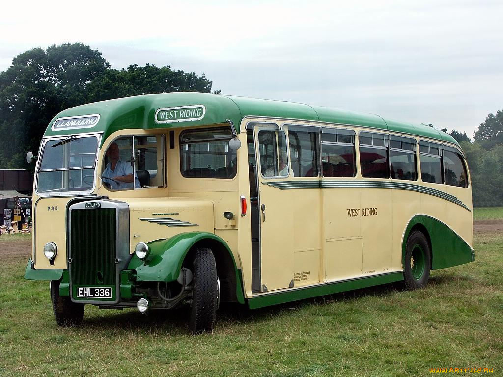 автомобили, автобусы