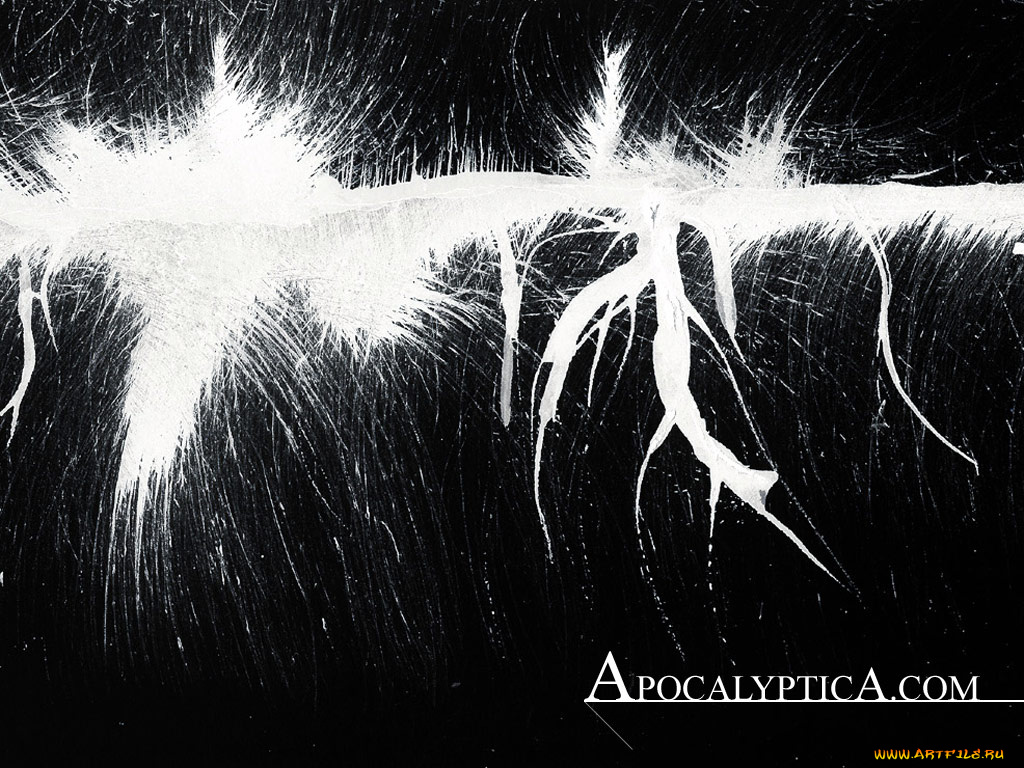музыка, apocalyptica