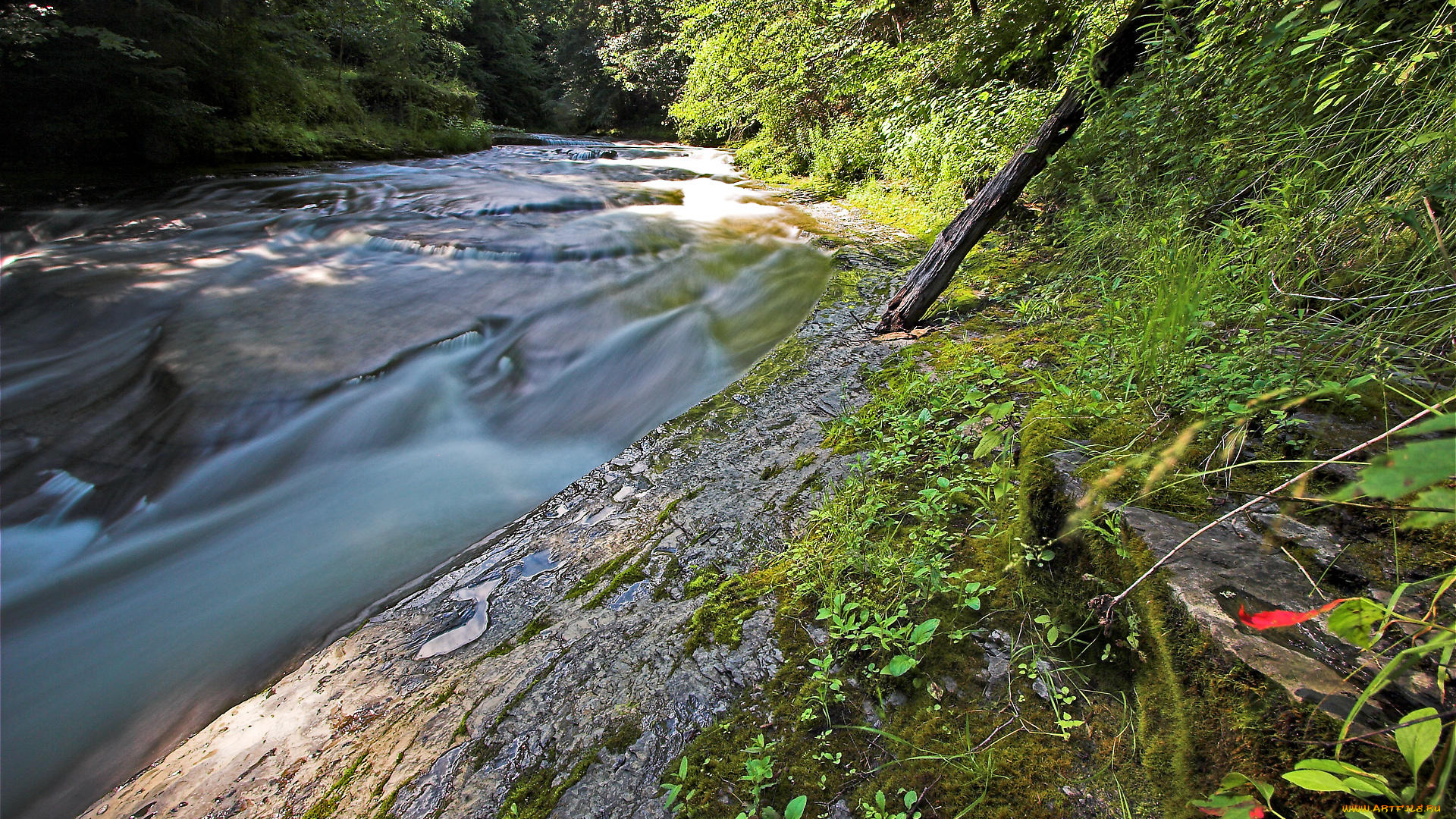 природа, реки, озера