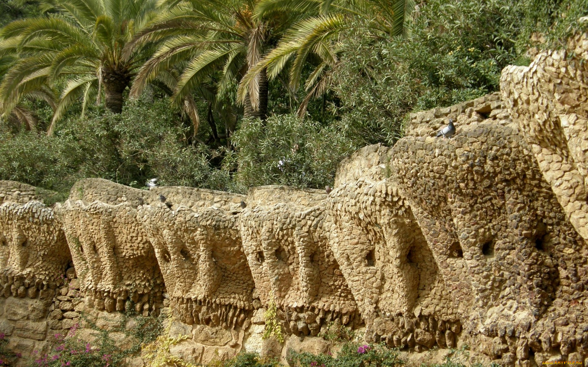 природа, другое