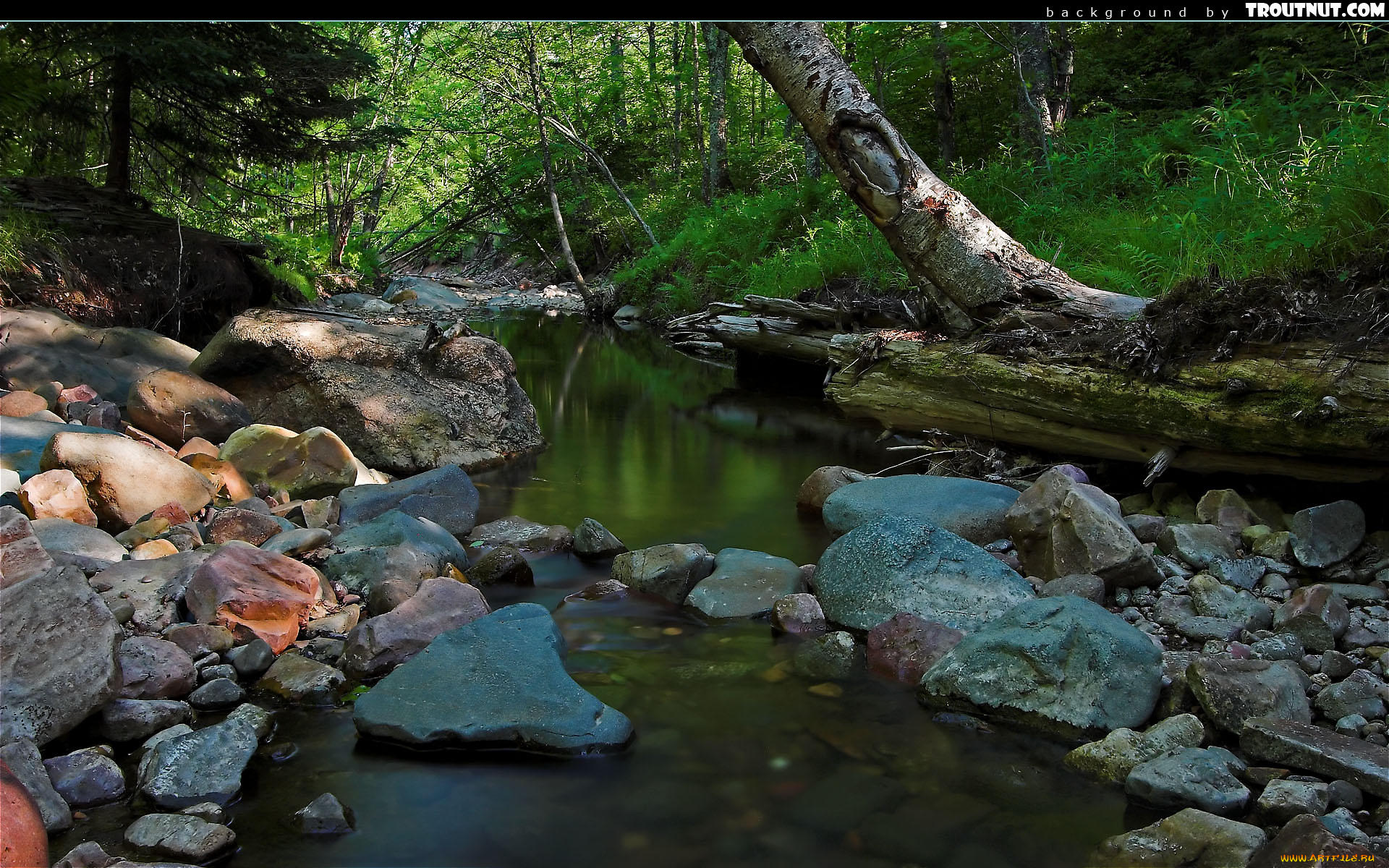 природа, реки, озера