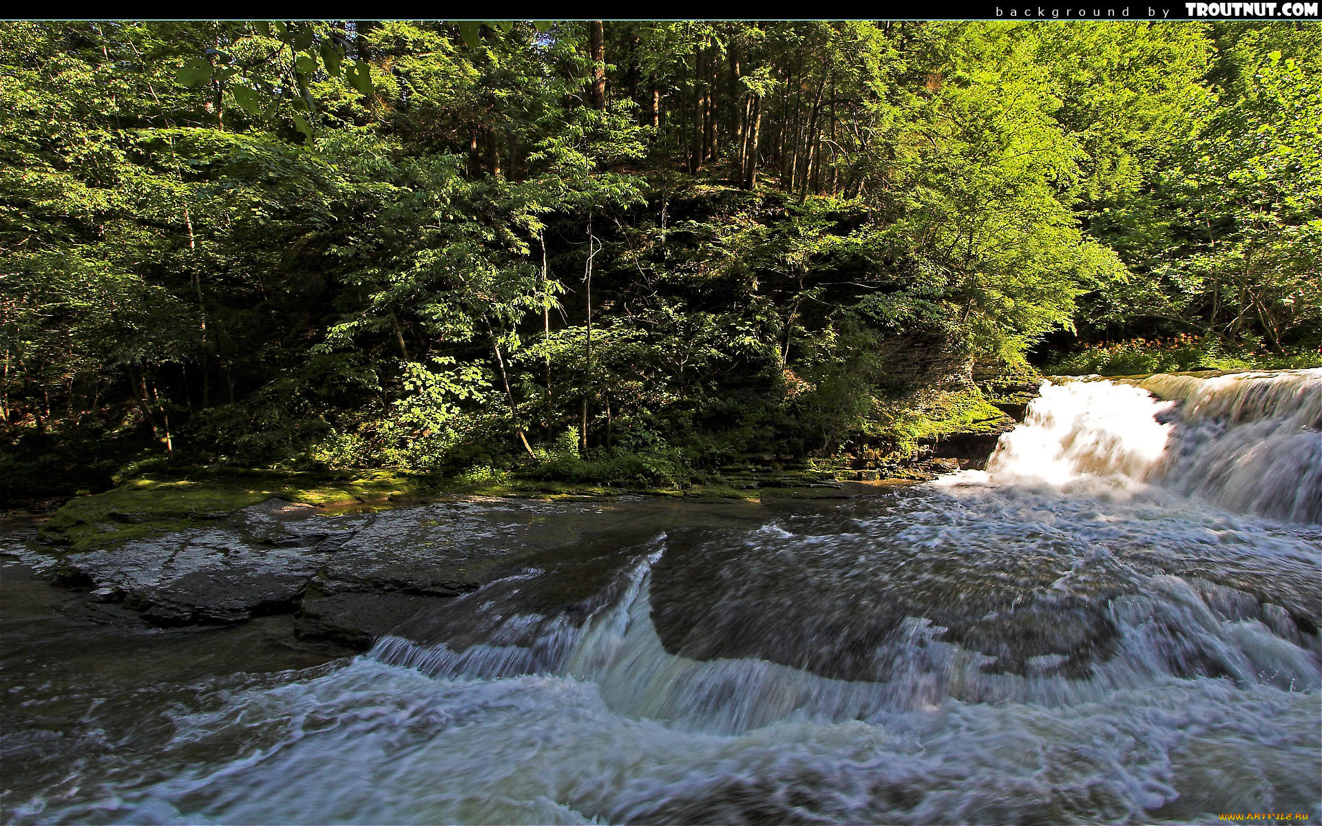 природа, реки, озера