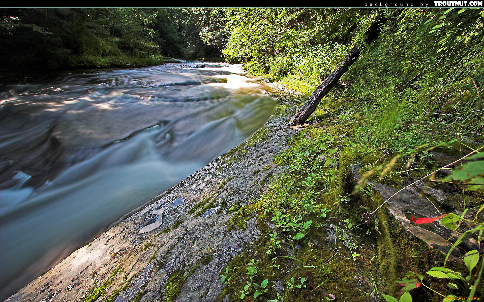 природа, реки, озера