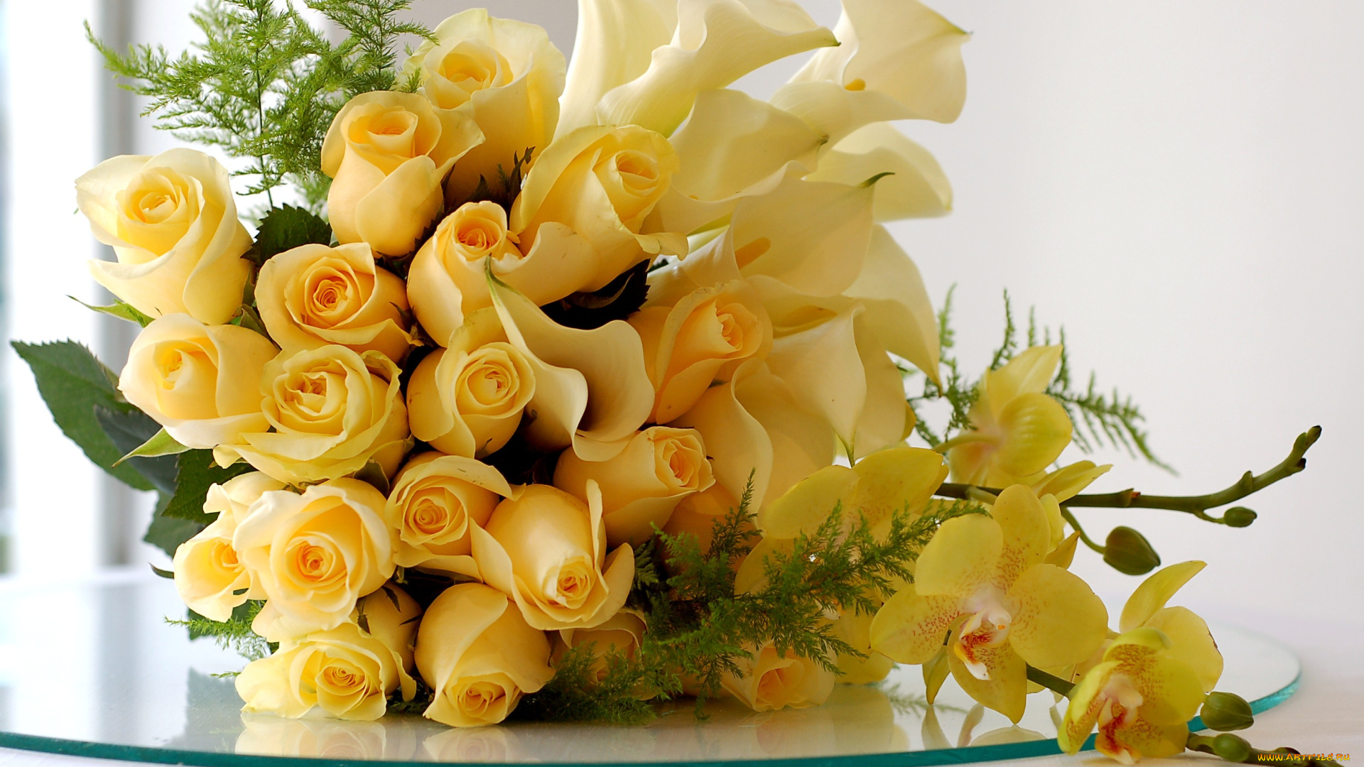 цветы, букеты, композиции, калы