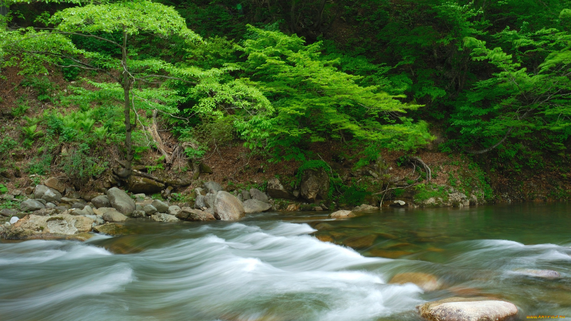 природа, реки, озера