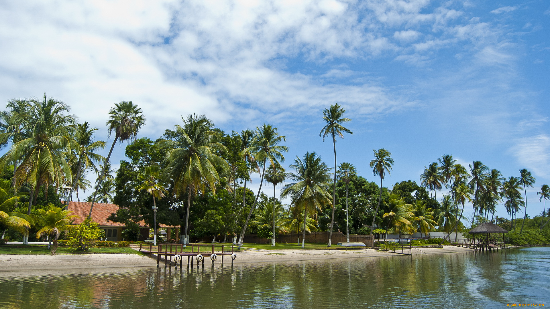 природа, тропики