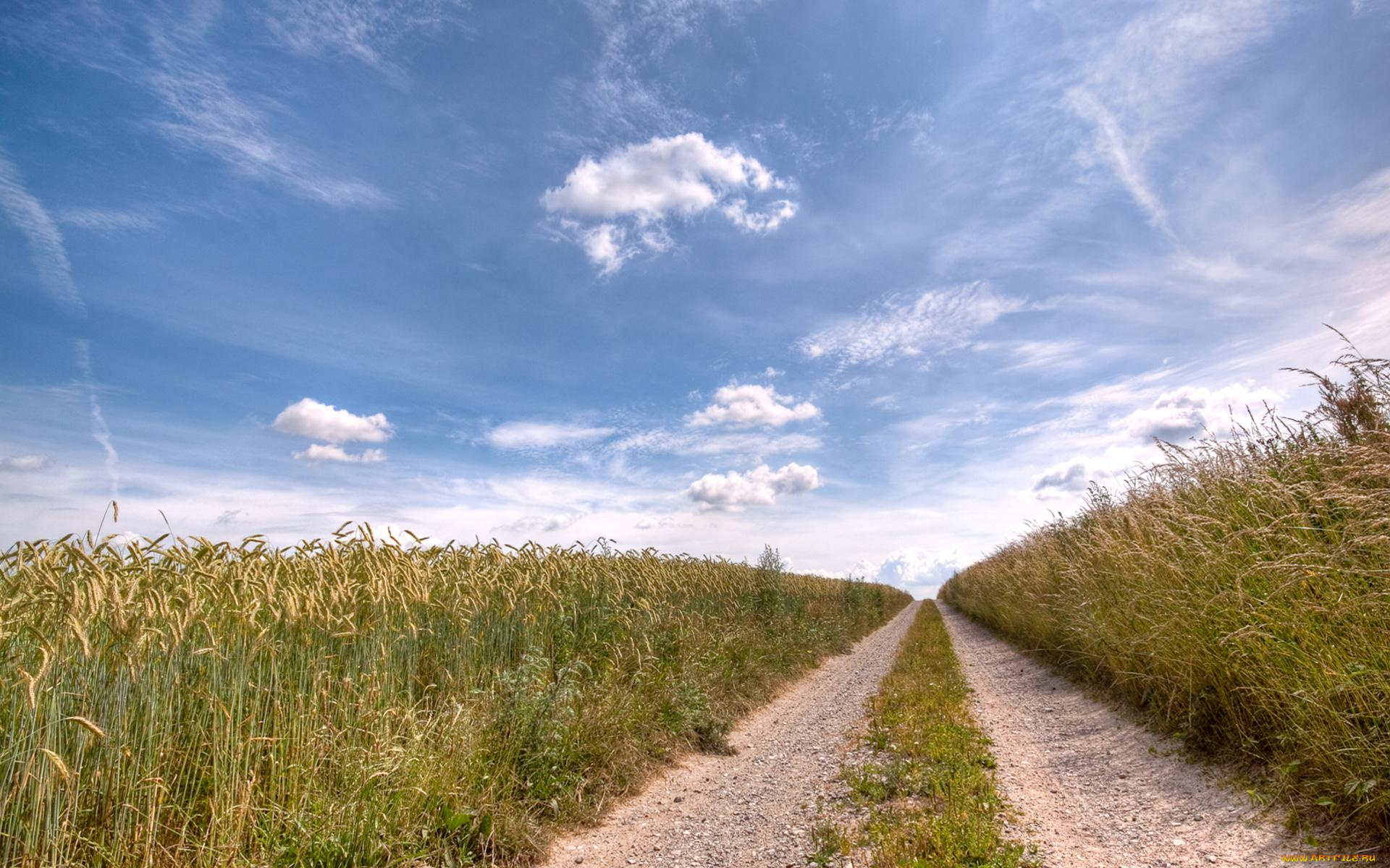 природа, дороги