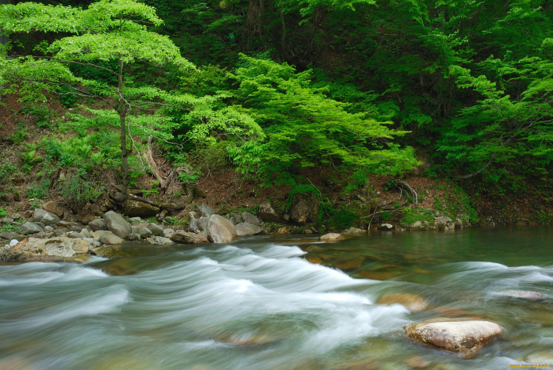 природа, реки, озера