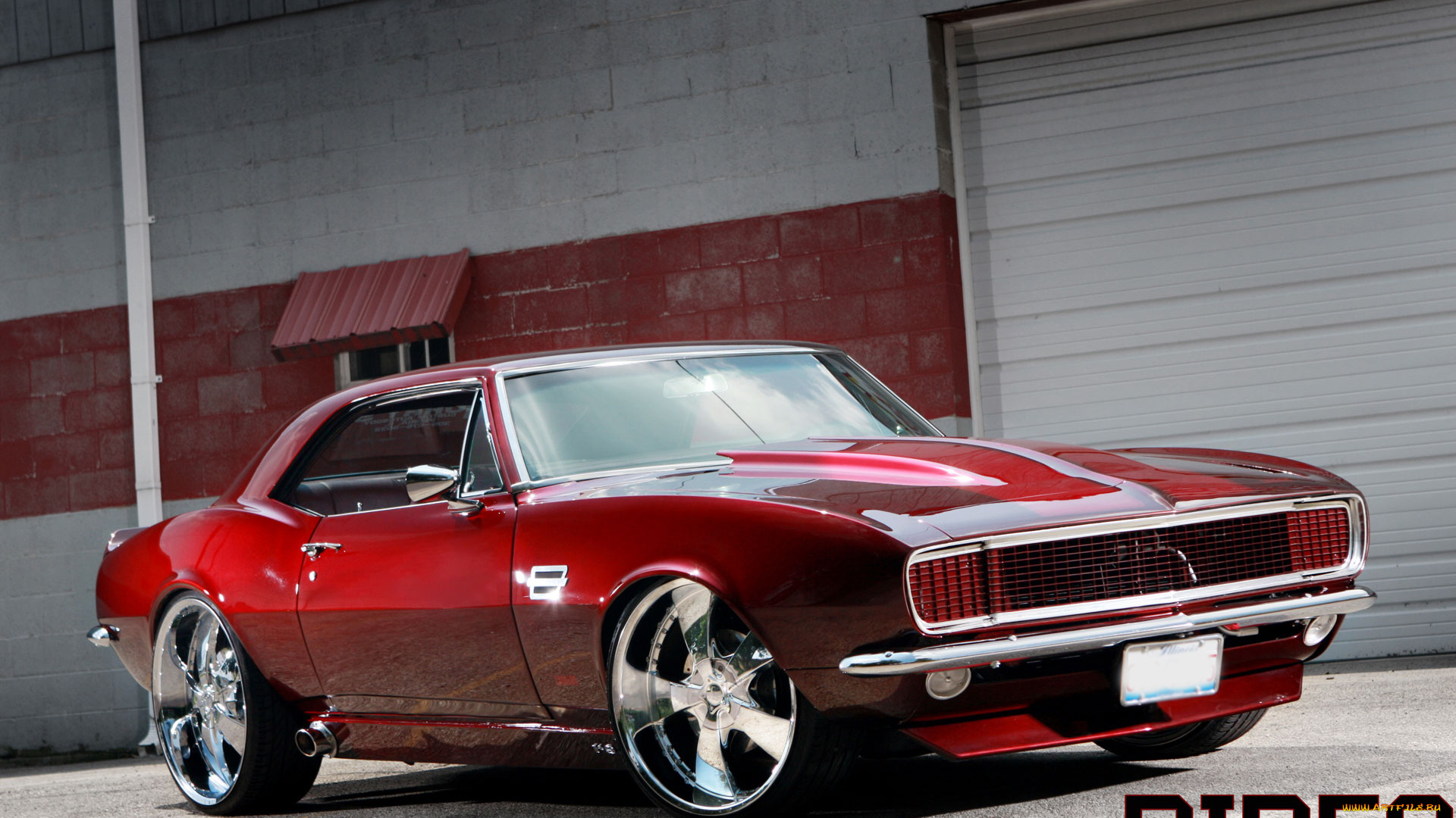 автомобили, camaro, wallpaper