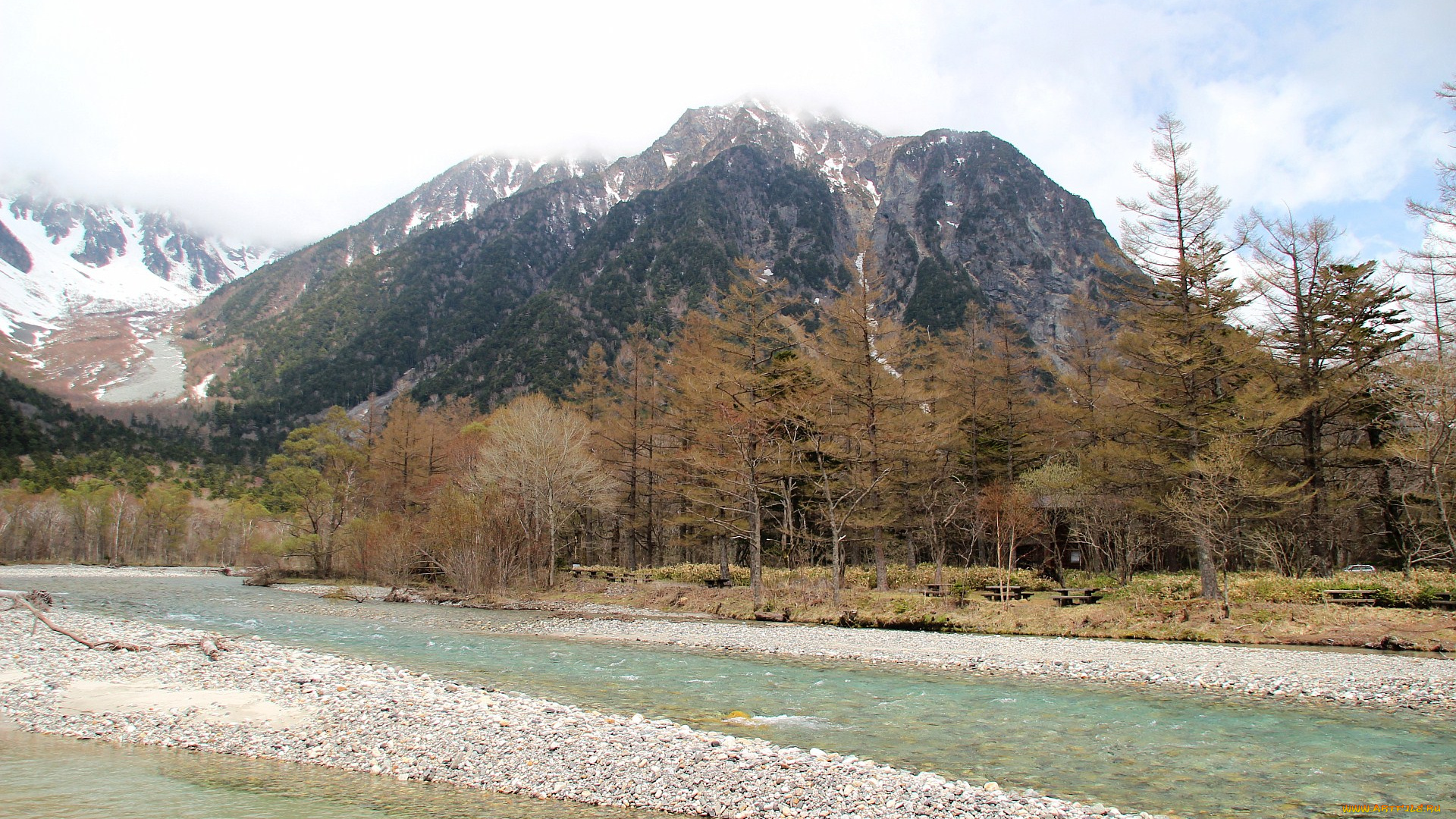 природа, реки, озера, деревья, река