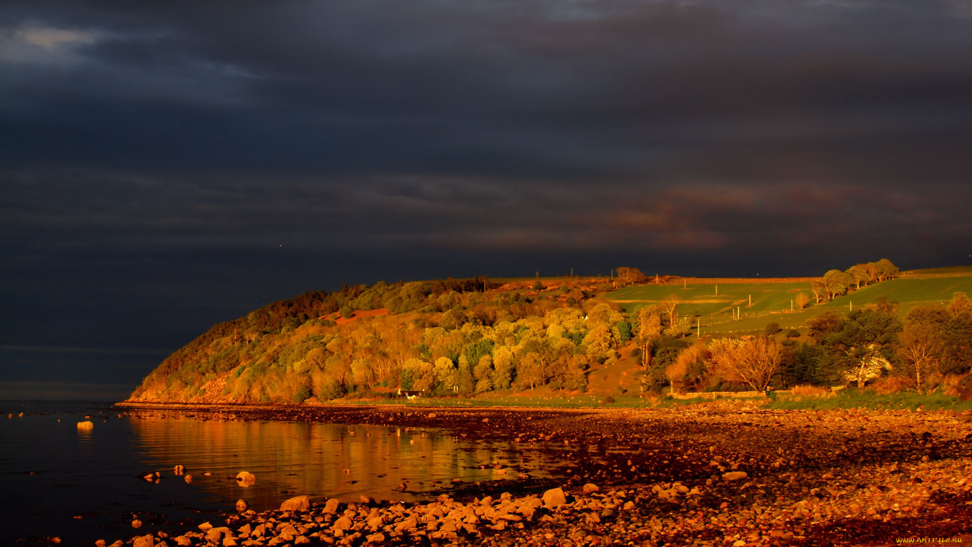 cromarty, scotland, природа, побережье, утро, firth, кромарти, шотландия, пролив