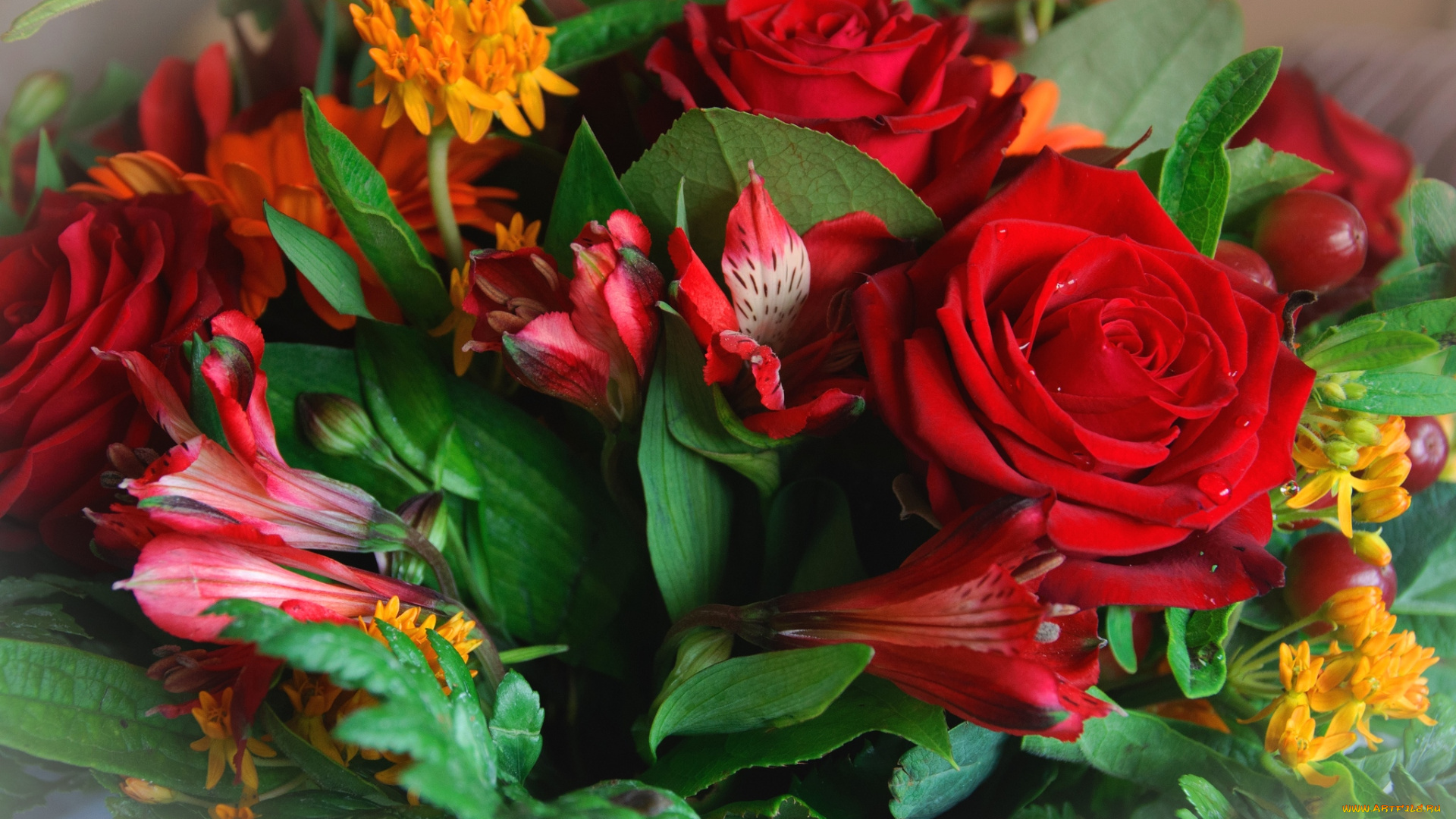 цветы, букеты, композиции, розы, альстромерия