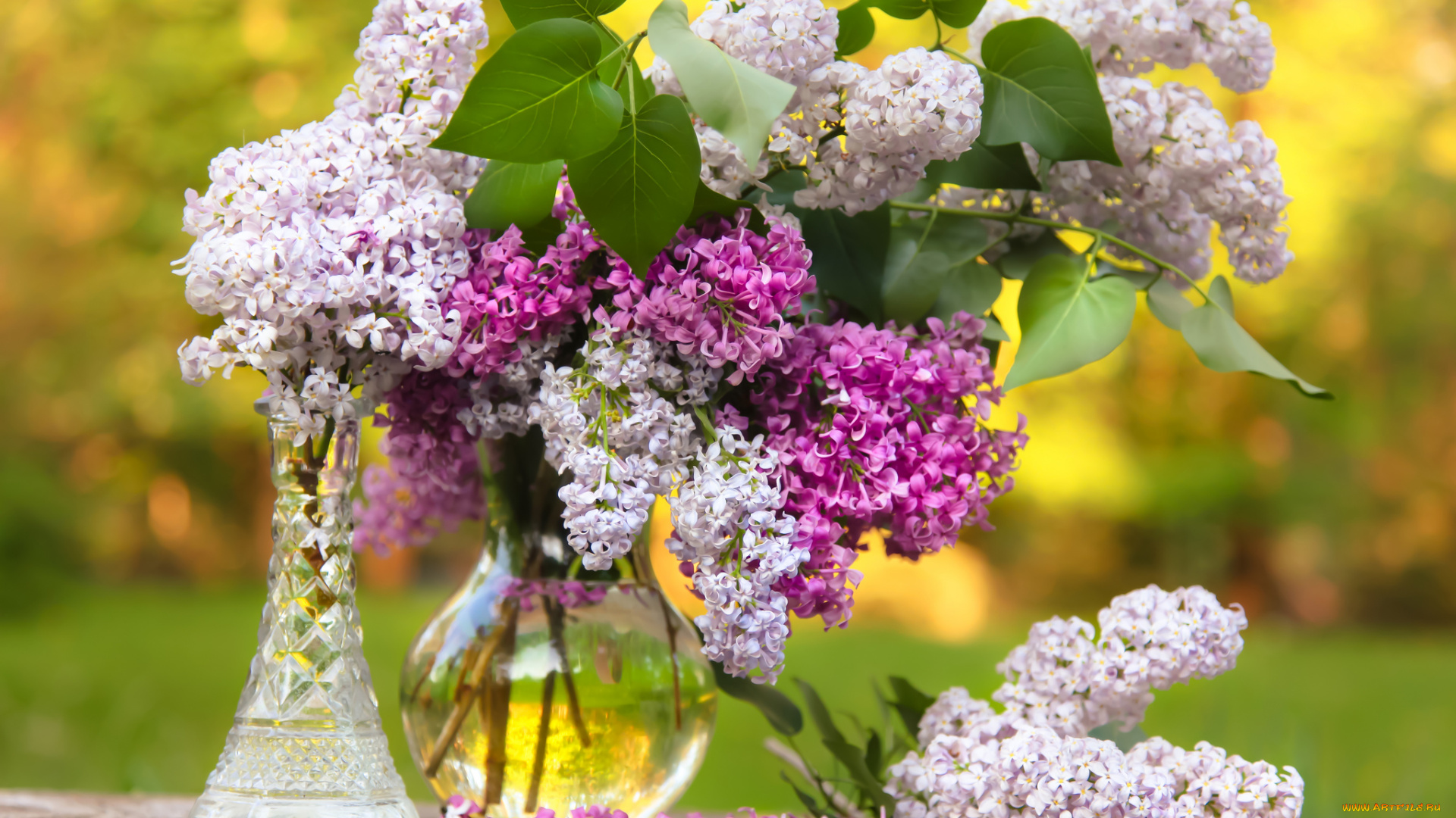цветы, сирень, ваза, букет