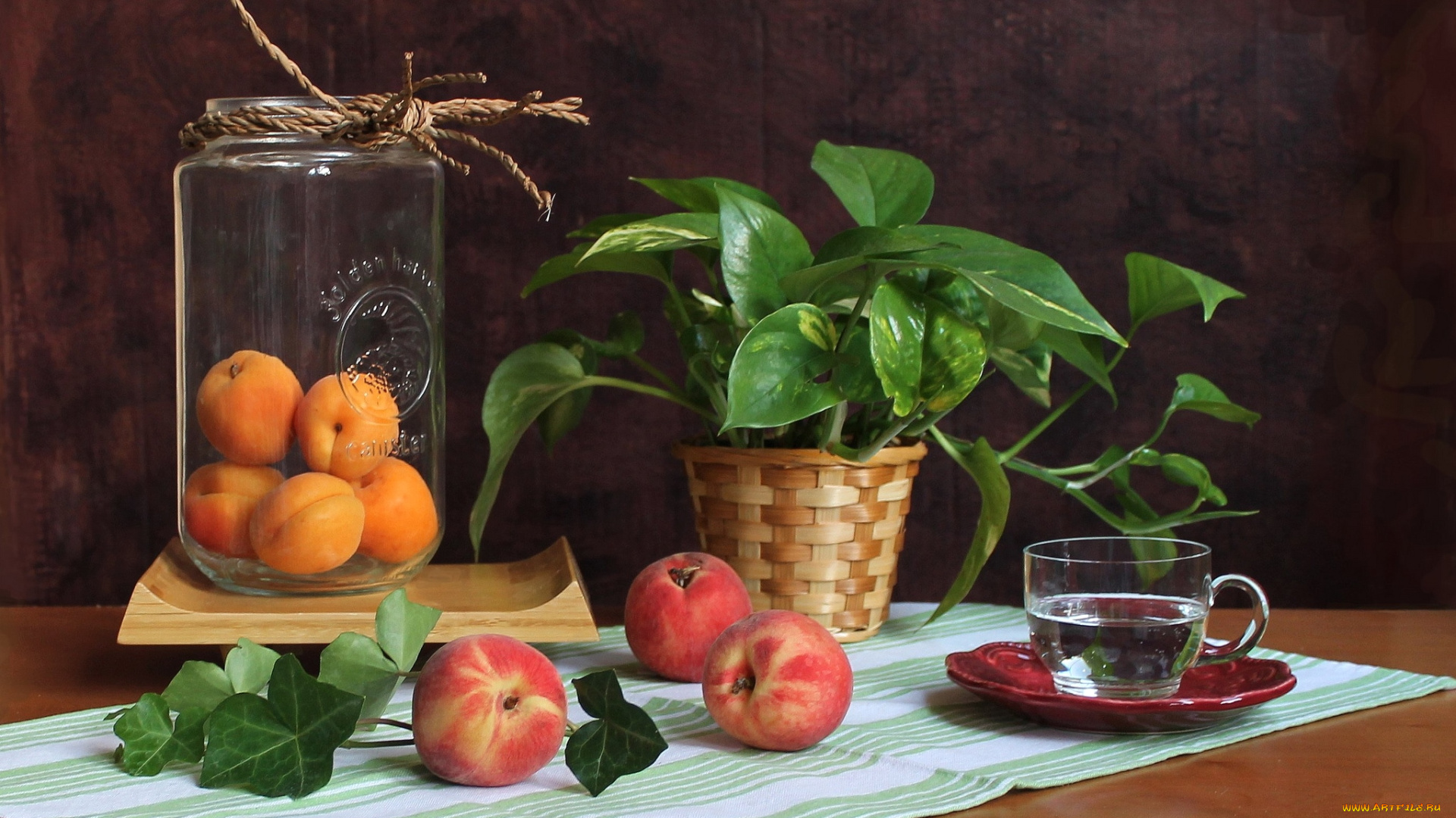 еда, персики, сливы, абрикосы, вазон, чашка