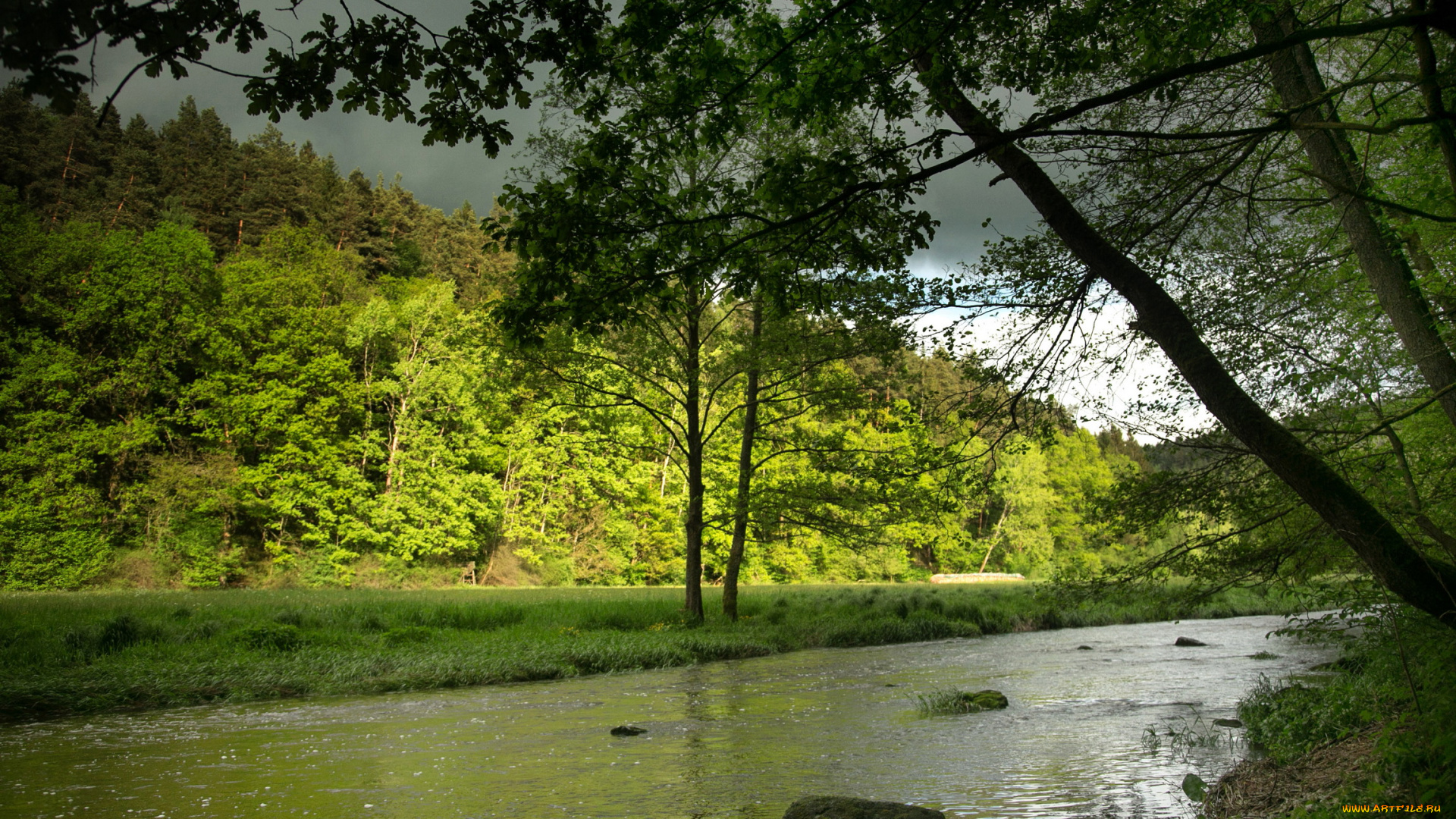 германия, бавария, лёйхтенберг, природа, реки, озера, река, лес