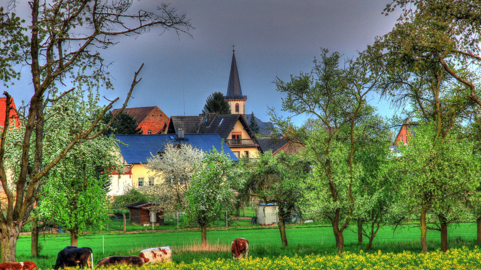германия, гессен, хунген, города, пейзажи, дома, деревья, трава