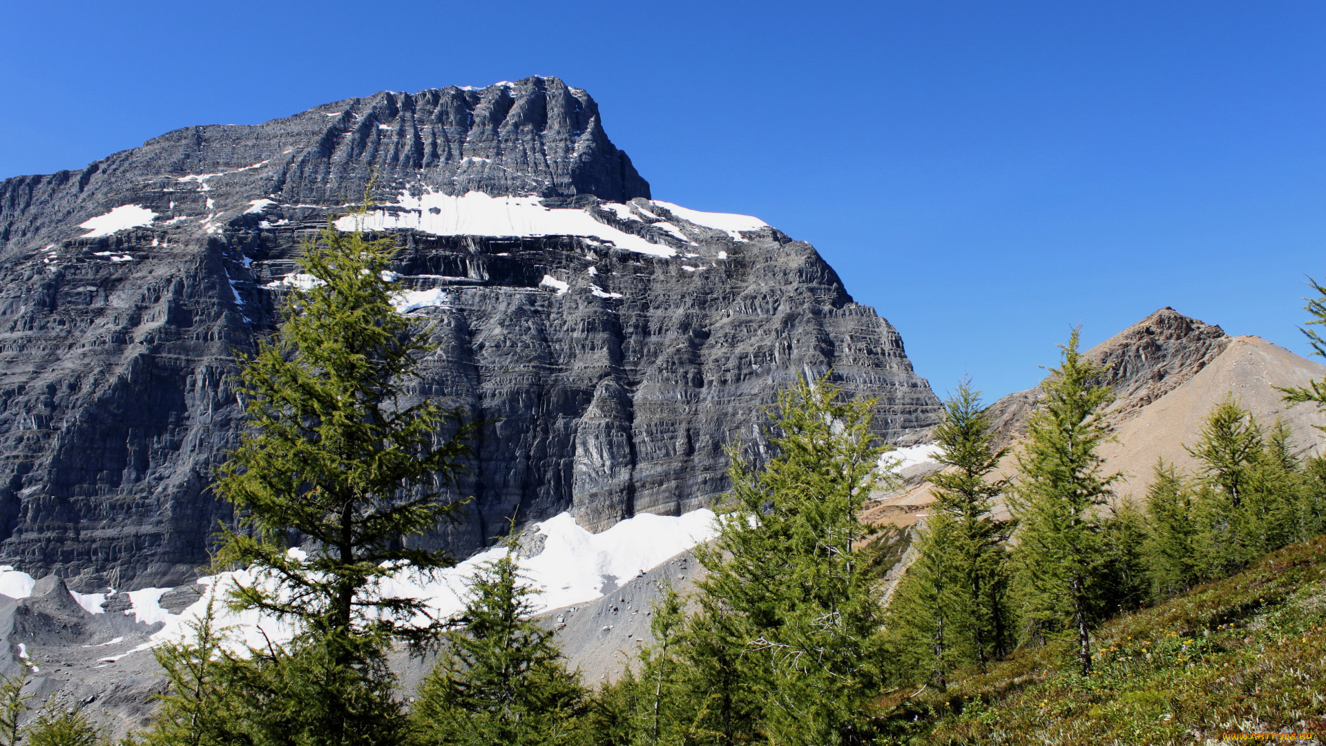 kootenay, national, park, сanada, природа, горы, лес