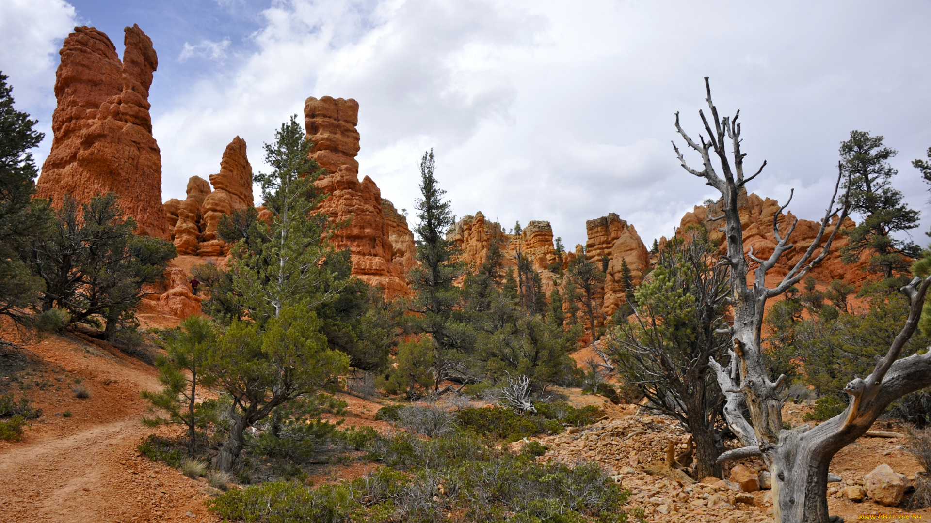 природа, горы, пейзаж