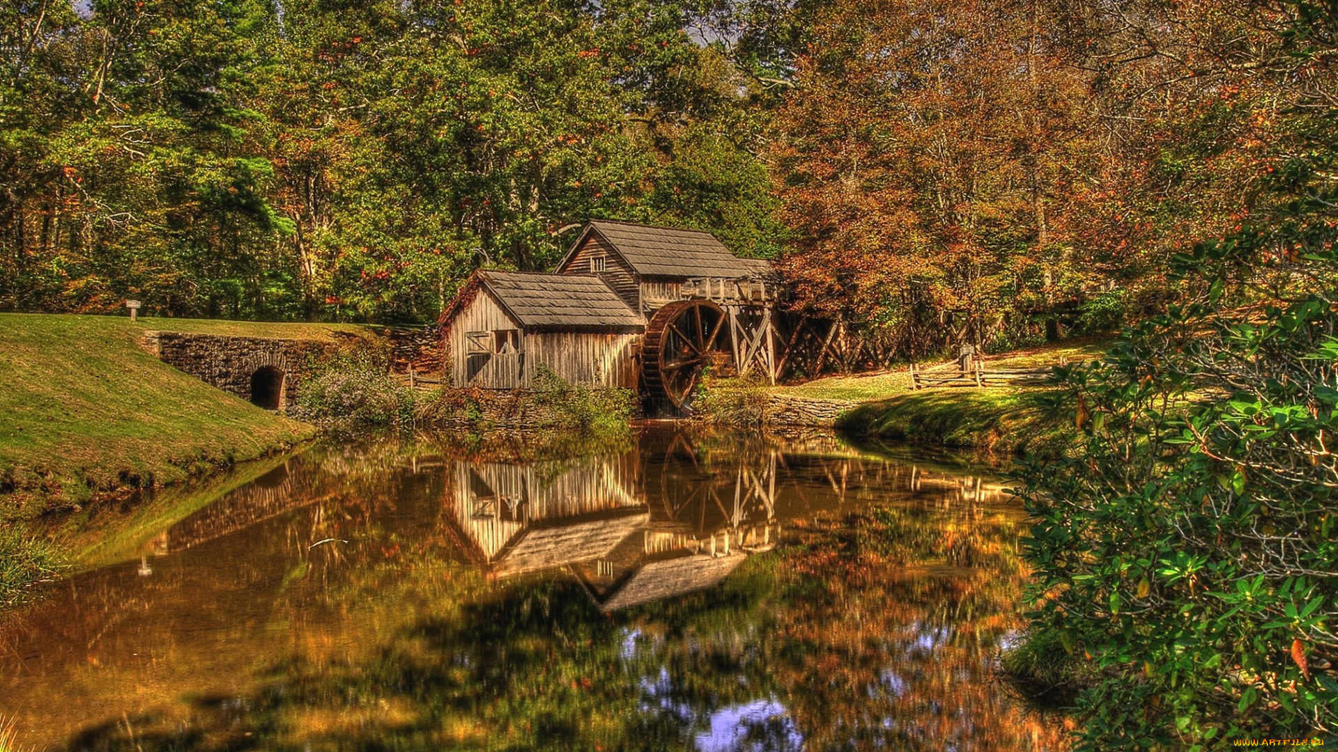 разное, мельницы, лес, река, колесо