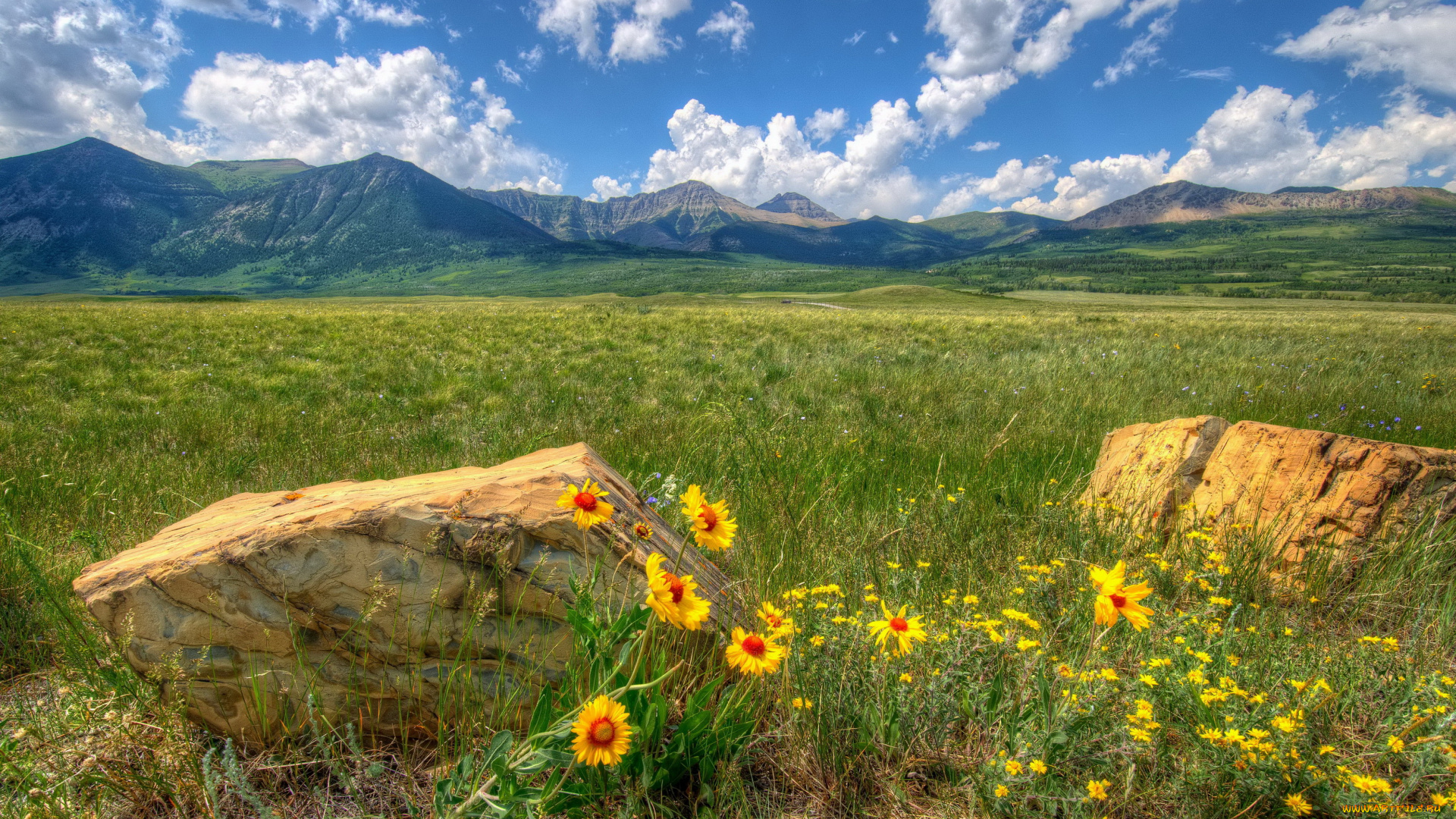 waterton, park, alberta, канада, природа, луга, трава, долина, горы, цветы
