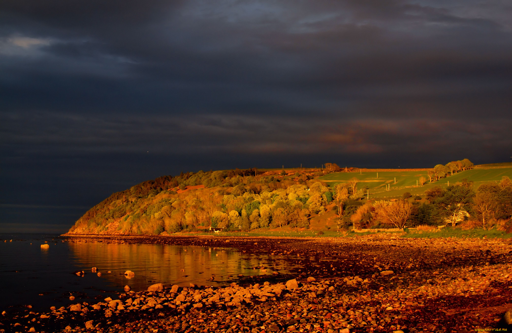 cromarty, scotland, природа, побережье, утро, firth, кромарти, шотландия, пролив