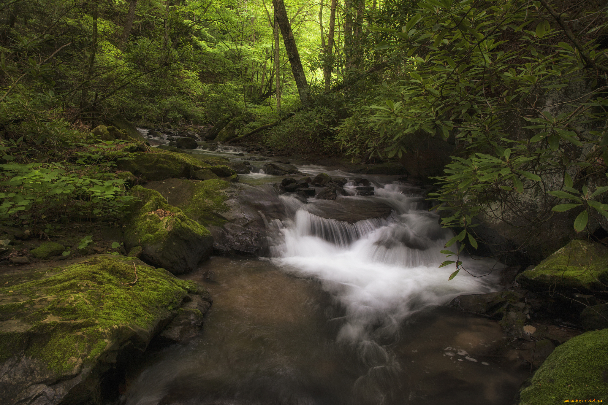 природа, реки, озера, река, лес, камни