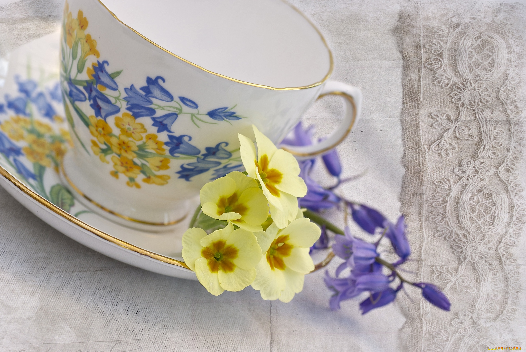 разное, посуда, столовые, приборы, кухонная, утварь, колокольчики, примула, чашка