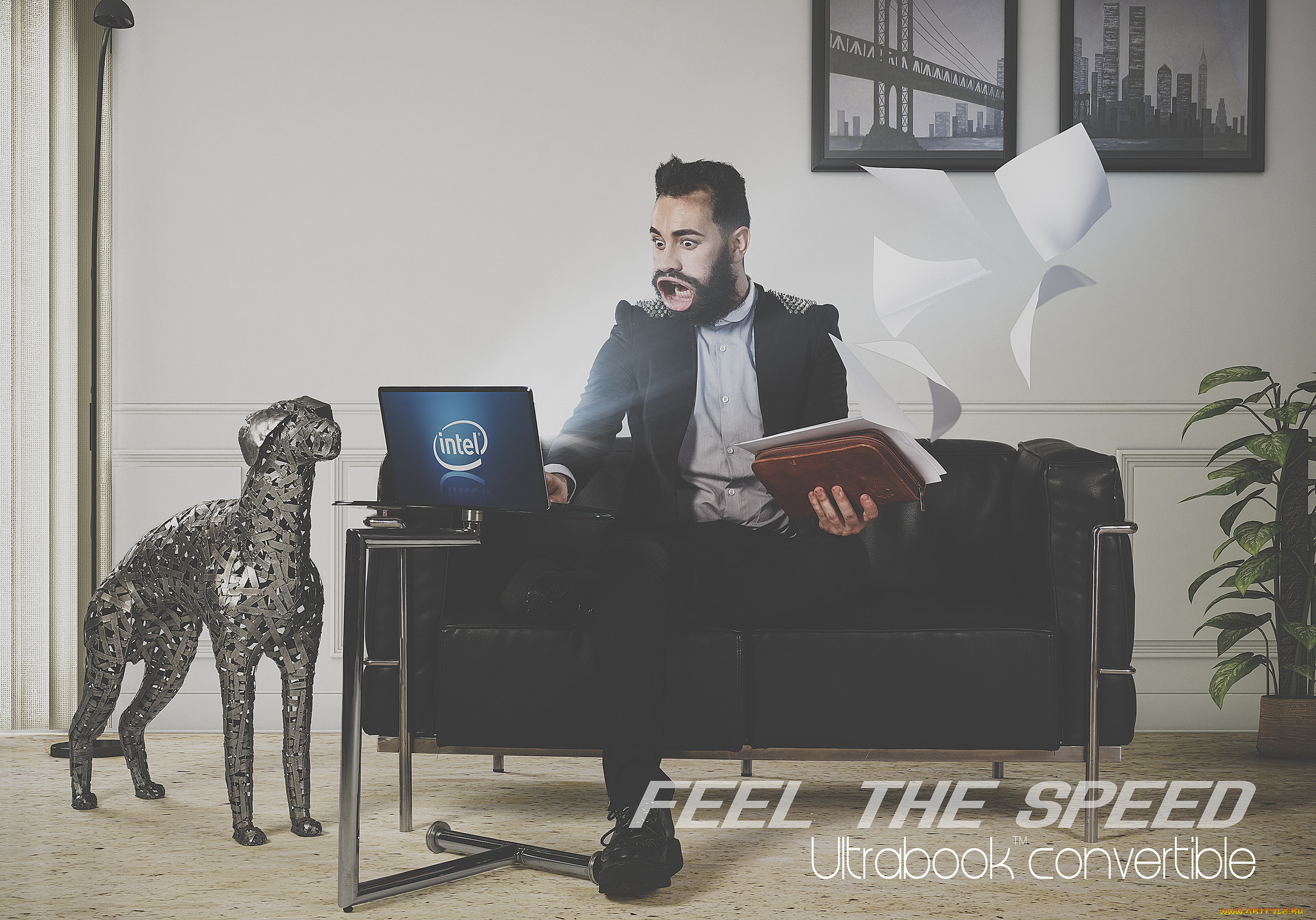 intel, бренды, ноутбук, парень, бумага, собака, лэптоп, скорость