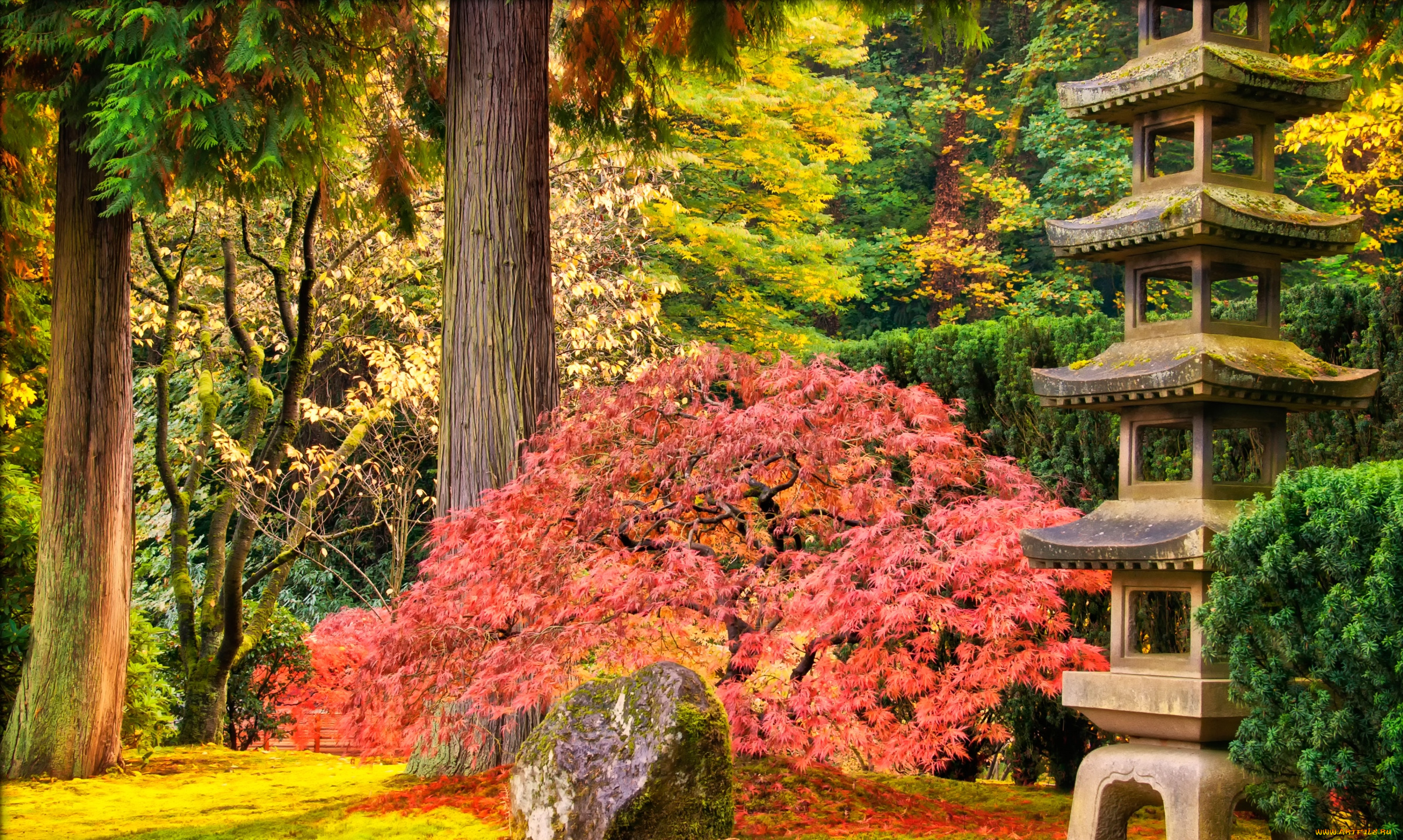 природа, парк, зелень, деревья, кусты