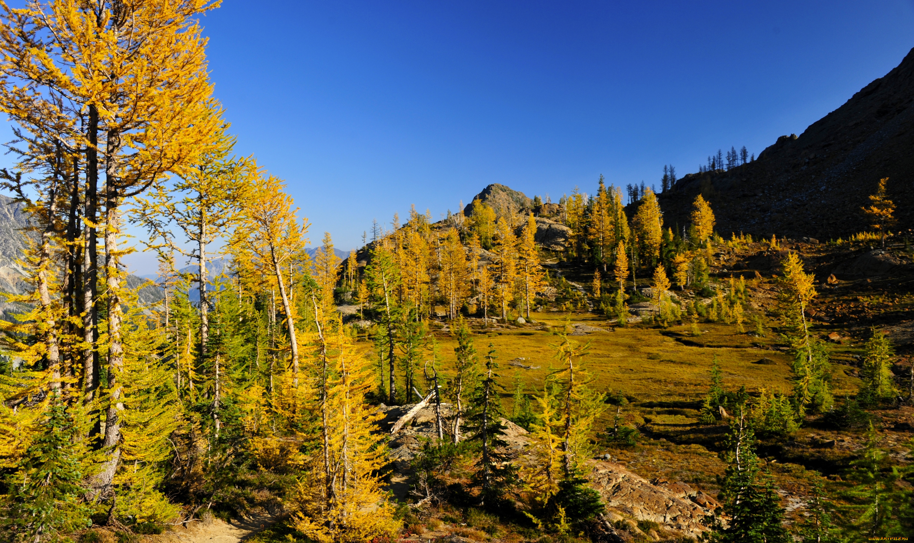 природа, деревья, горы