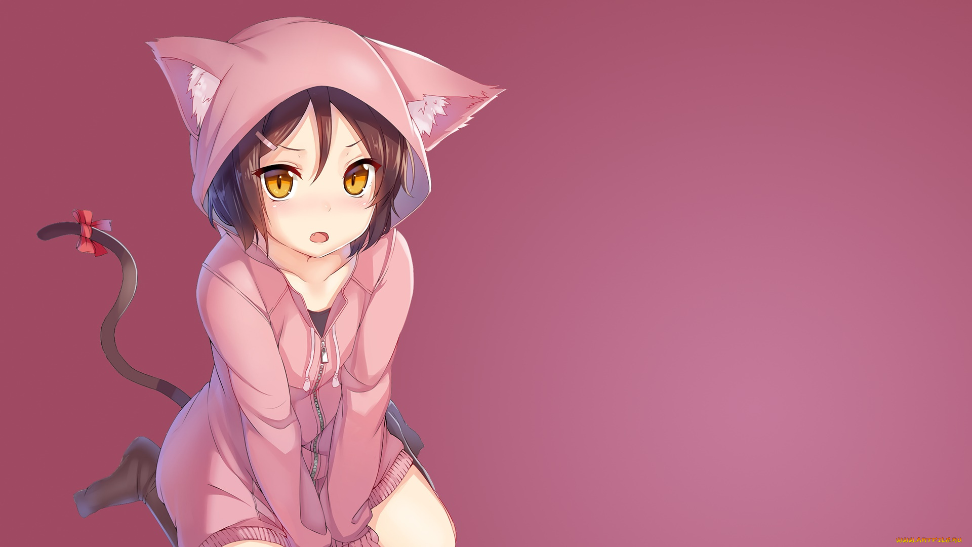 catgirl, аниме, животные, , существа, взгляд, девушка, фон