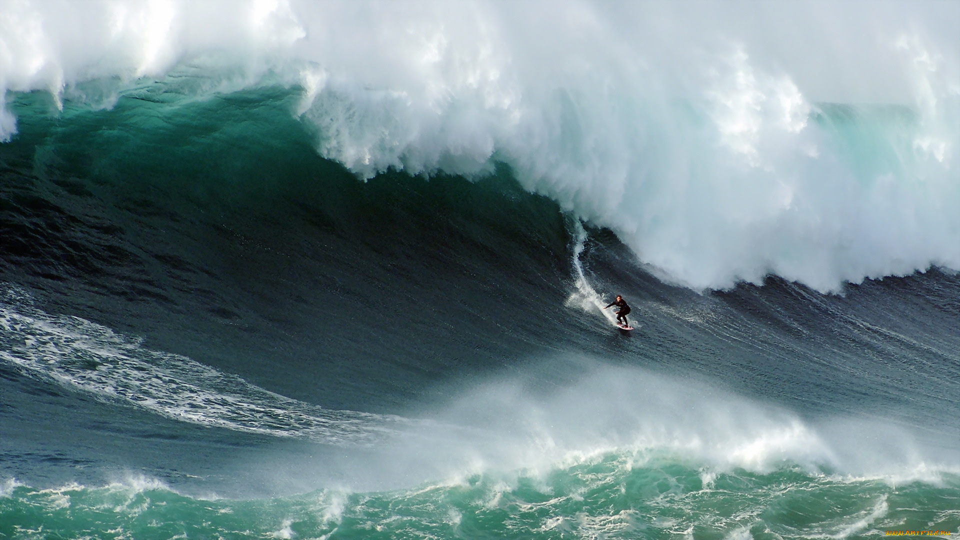 спорт, серфинг, доска, волна