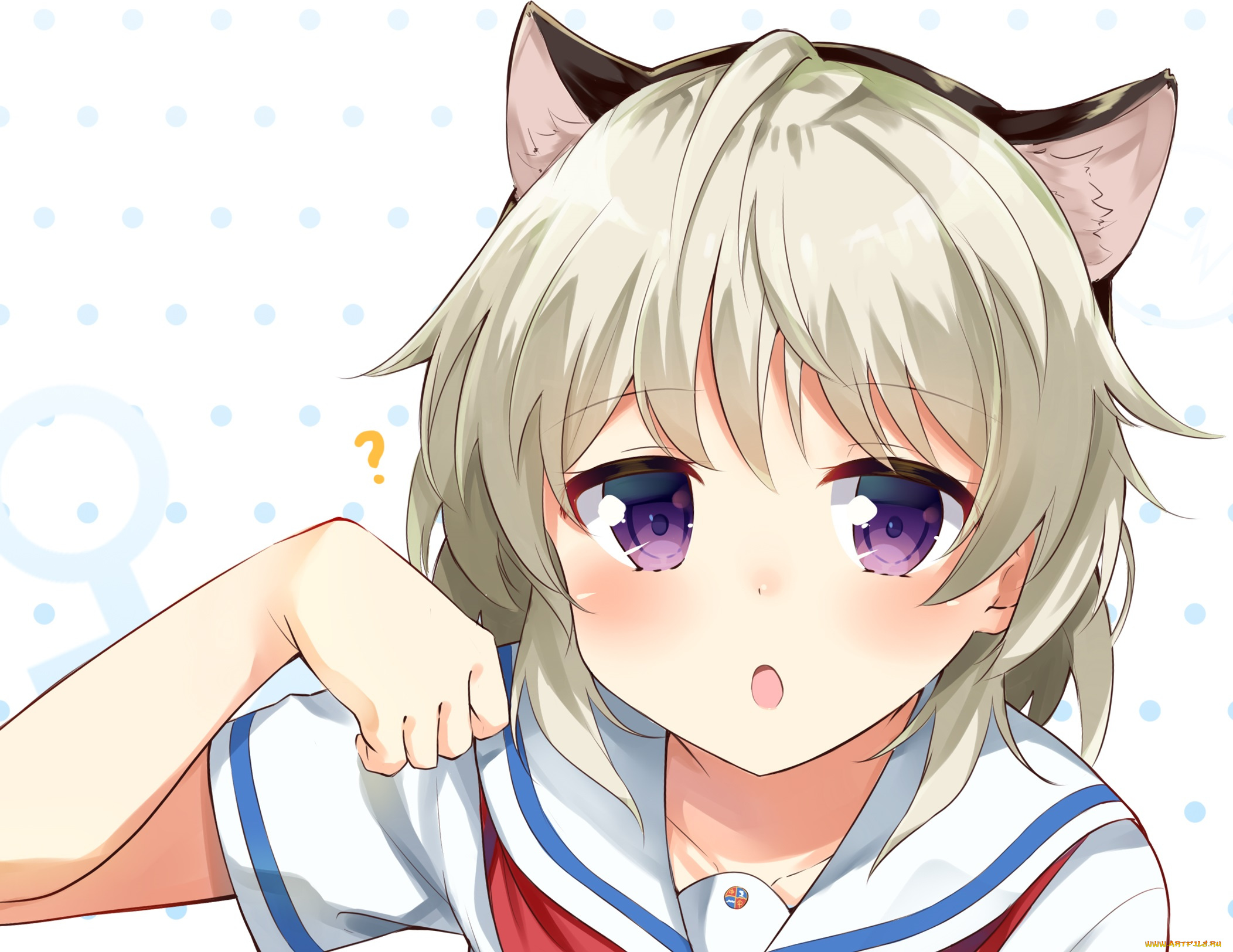 аниме, животные, , существа, неко