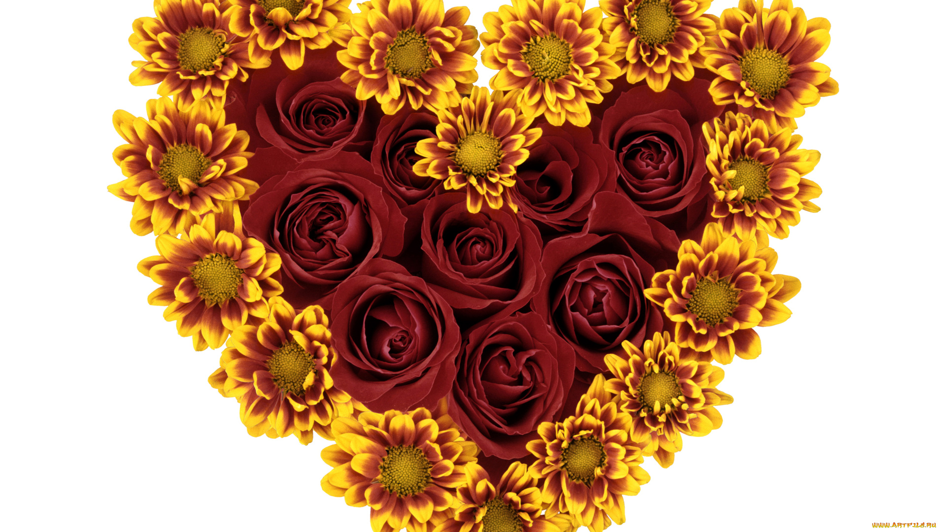 цветы, букеты, , композиции, композиция, хризантемы, сердце, розы