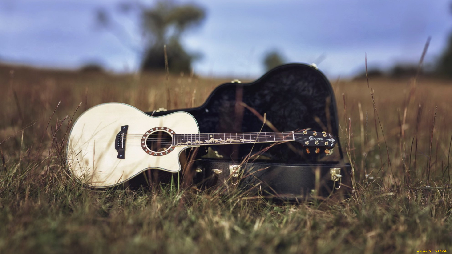 музыка, -музыкальные, инструменты, гитара
