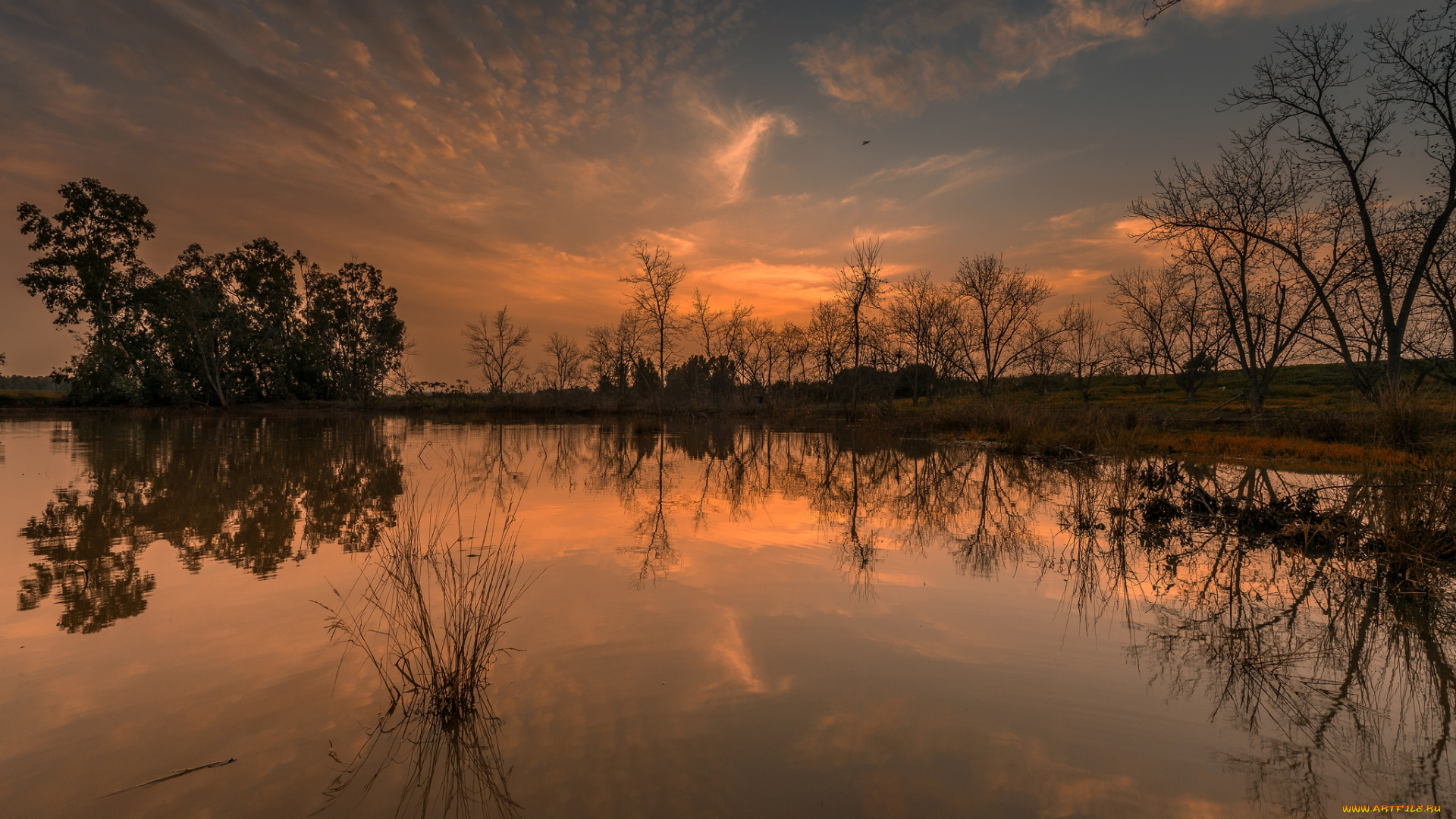 природа, реки, озера, простор