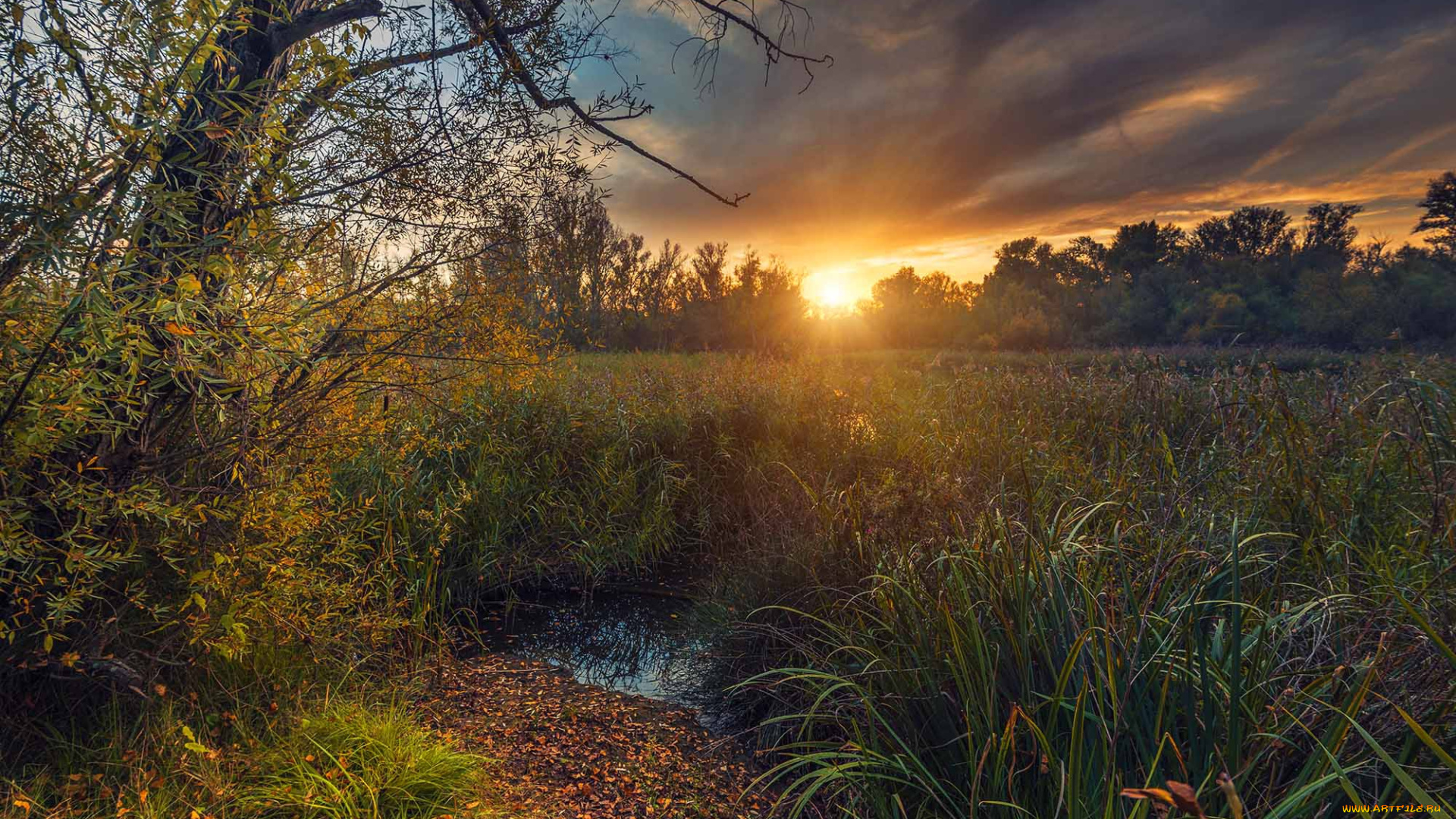 природа, восходы, закаты, простор