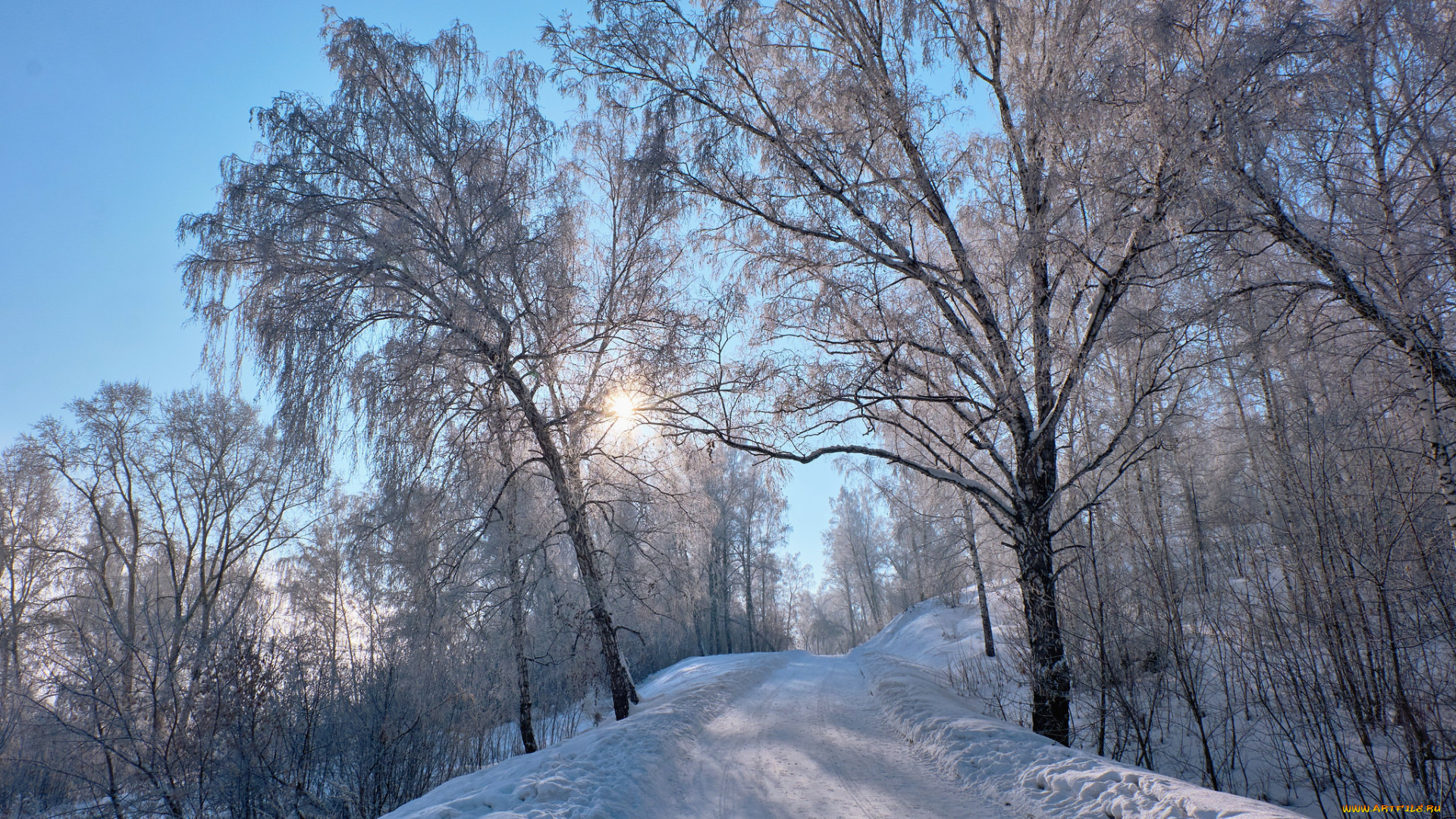 природа, зима, простор